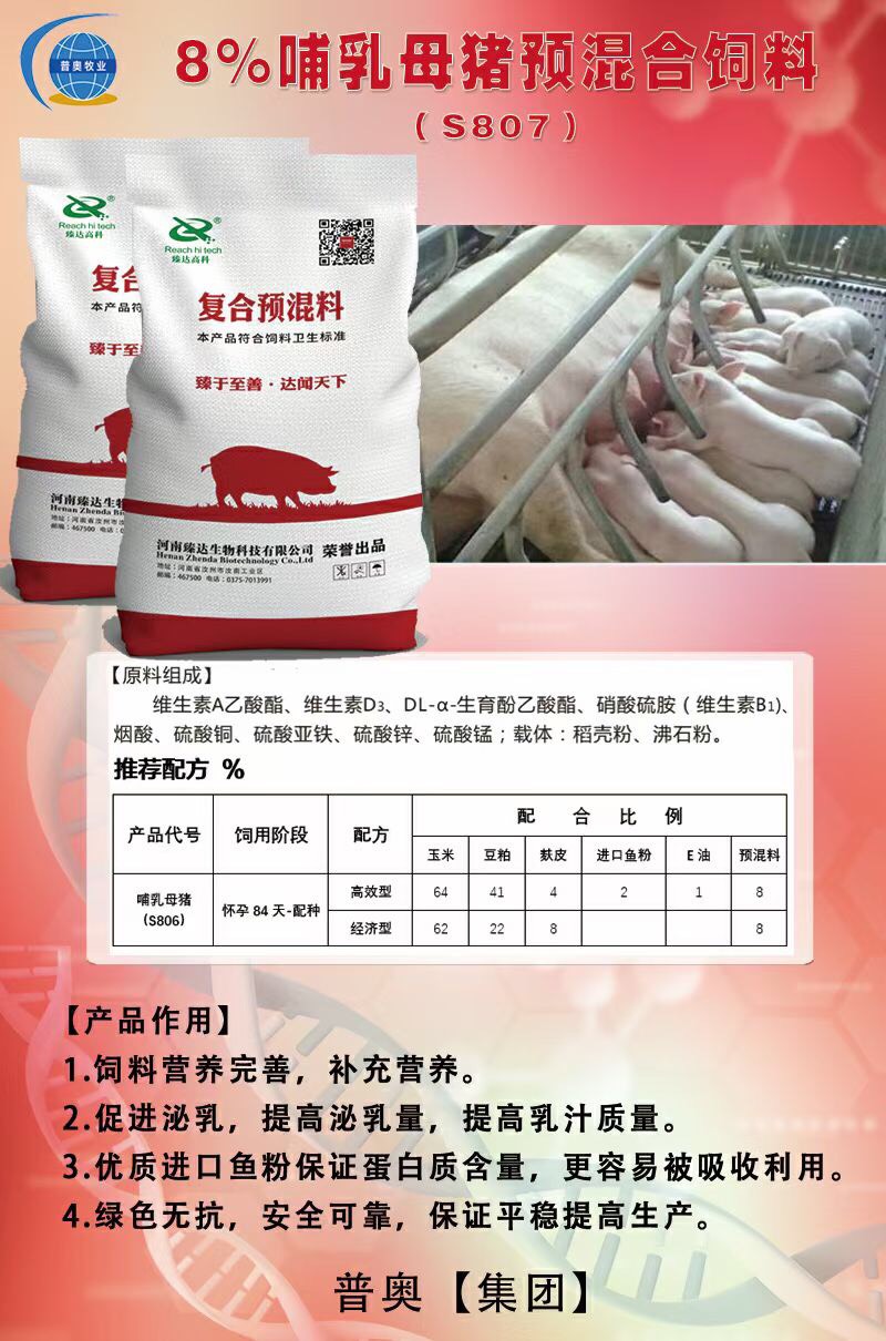 8%哺乳母猪饲料母猪预混料提高母猪产奶增强乳猪
