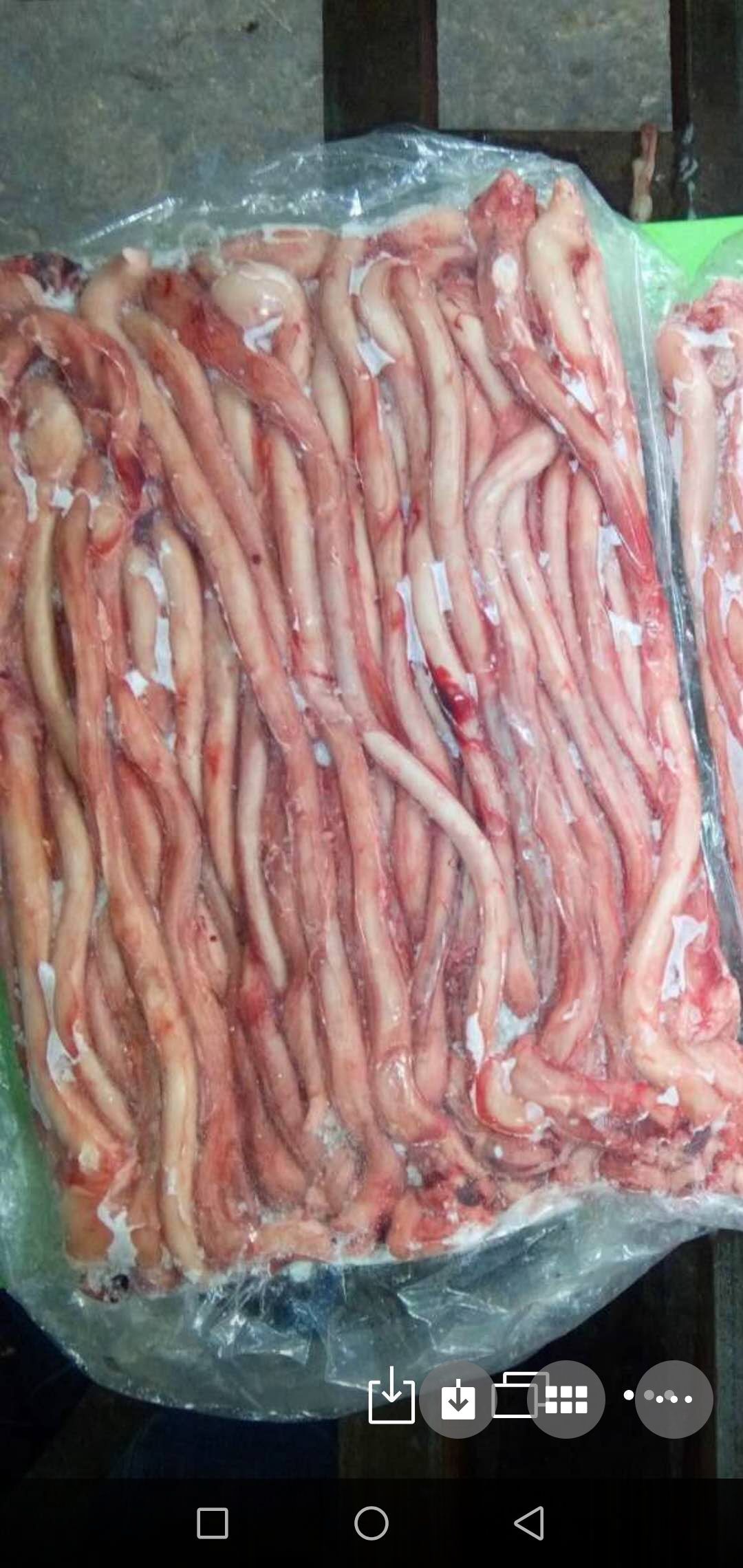 [猪鞭批发] 鲜冻猪鞭10公斤,8o0元价格800元/箱