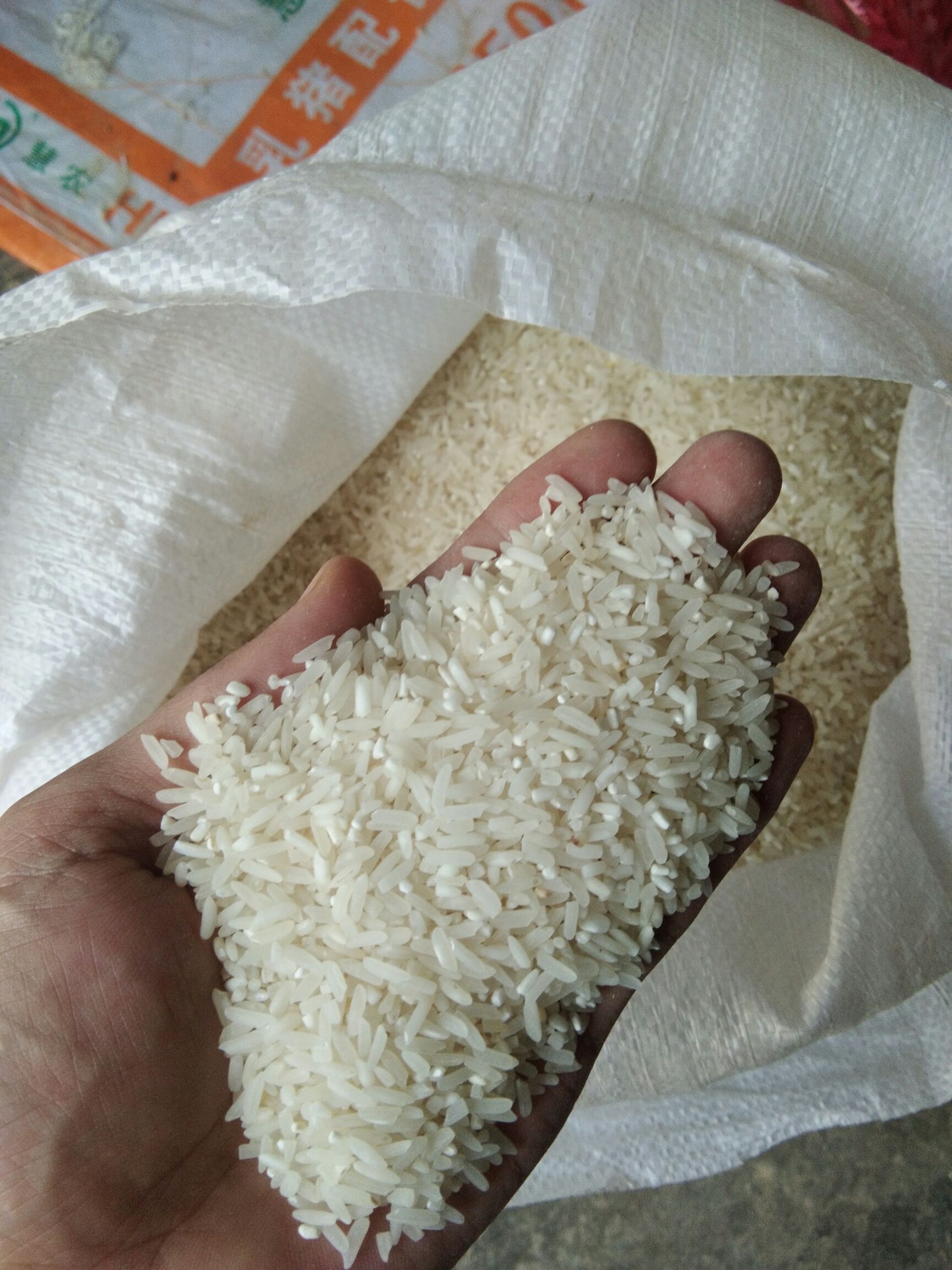 珍珠米