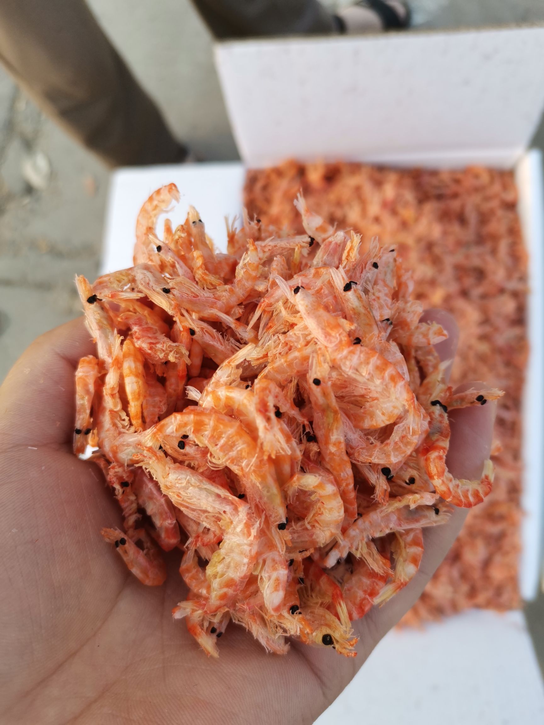 磷虾干 南极鳞虾 网红鳞虾 小红虾 无盐淡干