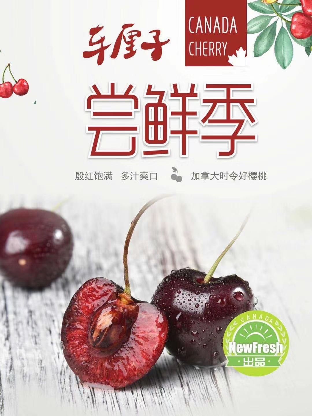 加拿大车厘子一件代发4斤装
