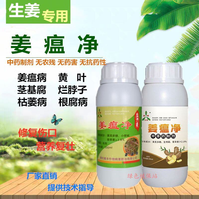 山东鄄城县杀菌剂 姜瘟净预防生姜姜瘟病大姜姜瘟病姜烂脖子姜块腐烂