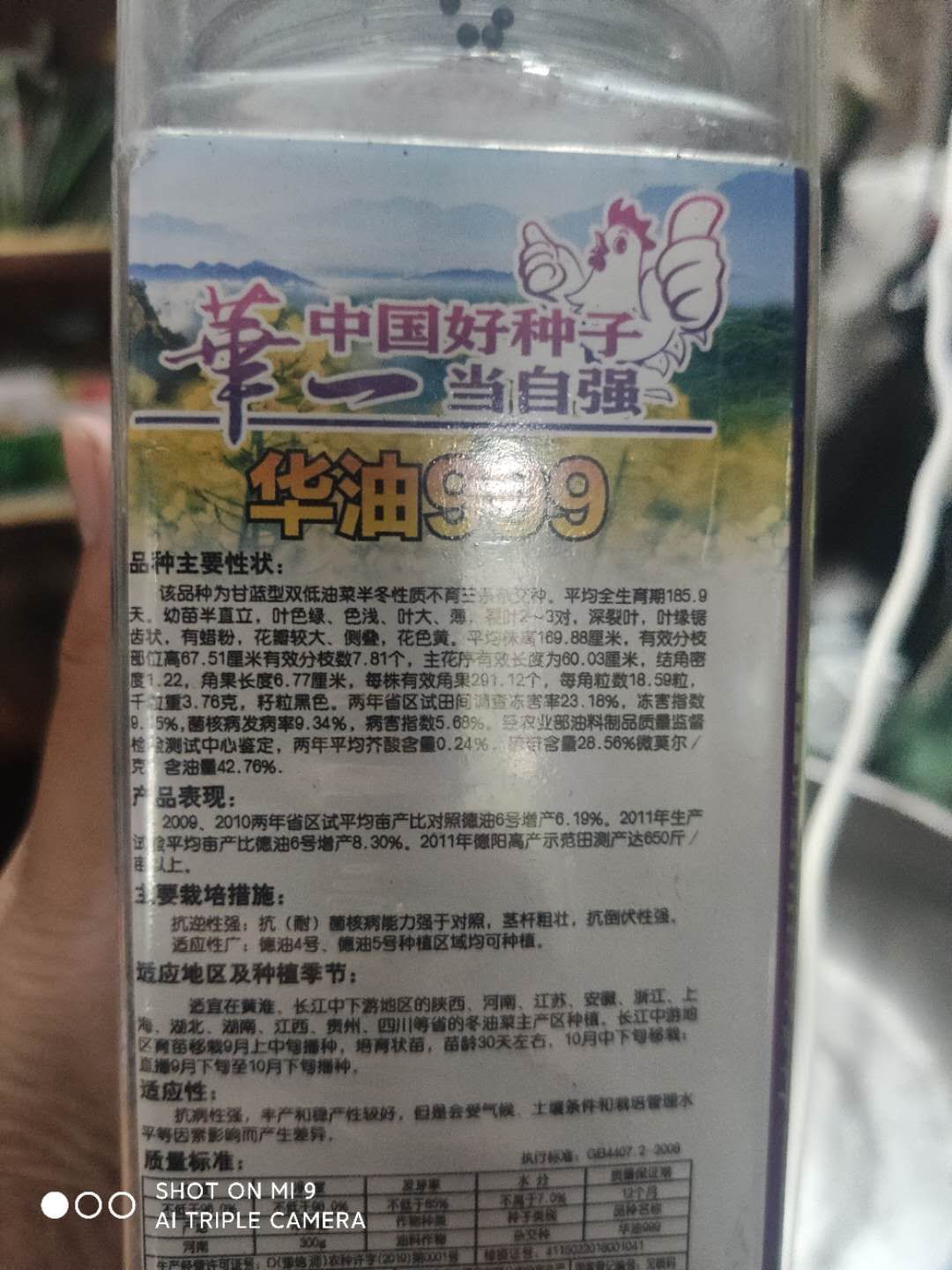 紫油菜种子 油菜种子 一代杂交华油999抗菌核病 高产 超强抗倒非转