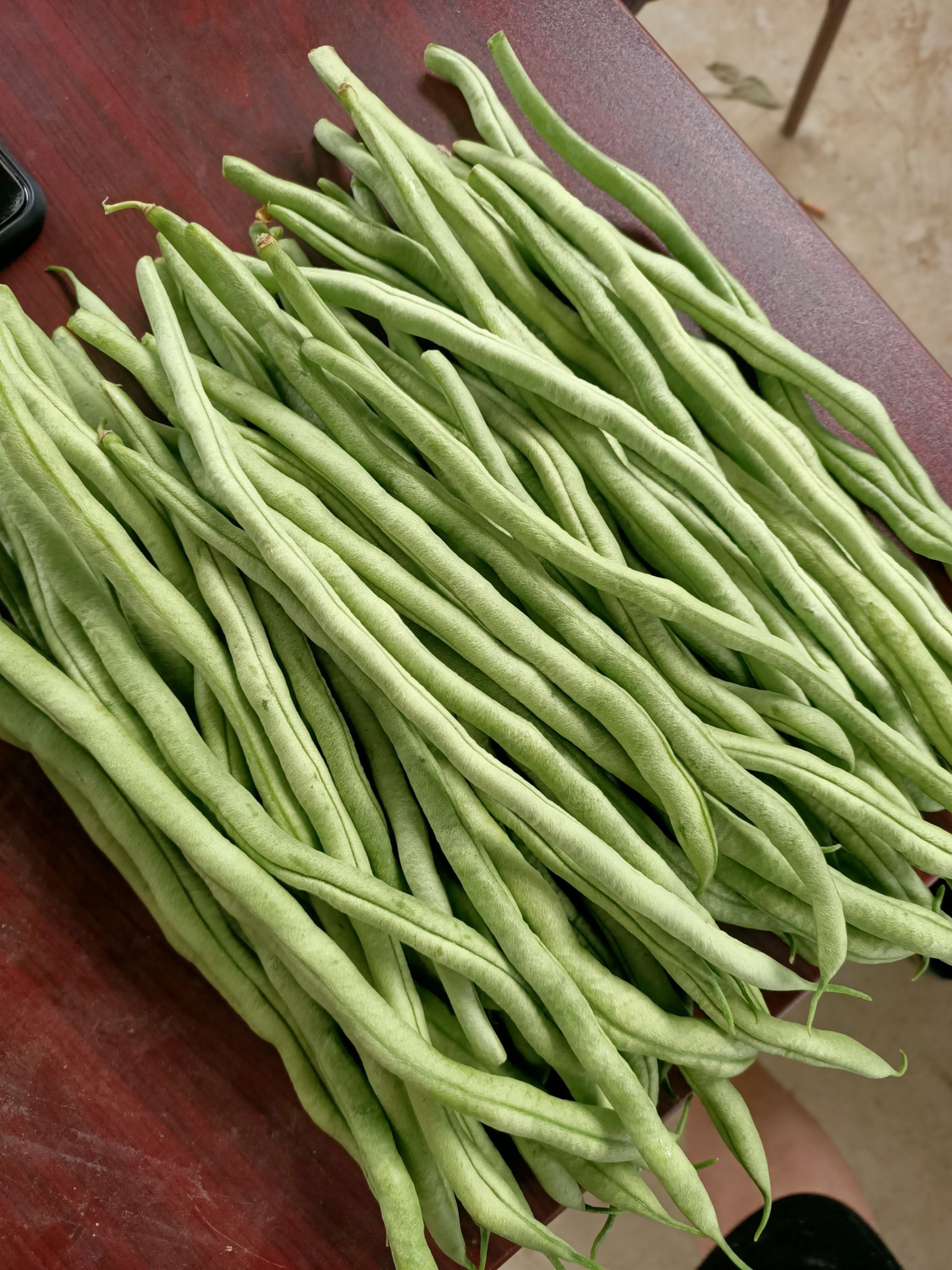 架豆王豆角 太白县架豆王大量上市