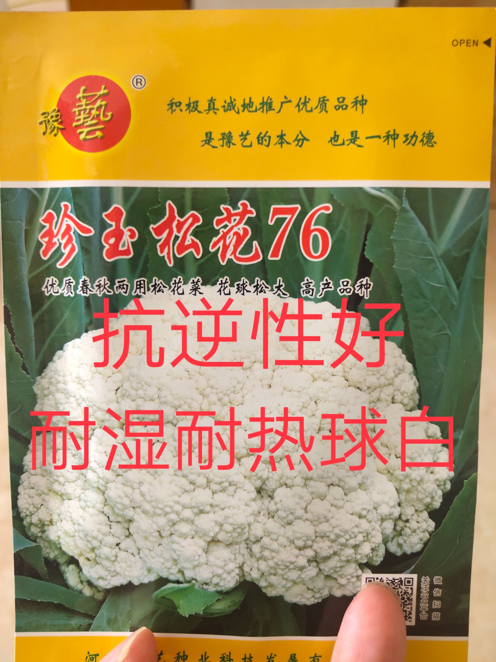 松花菜种子 珍玉松花76菜花种子~春秋两用花球松大亩栽2500株左右