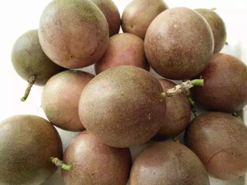 90 - 100克紫果百香果