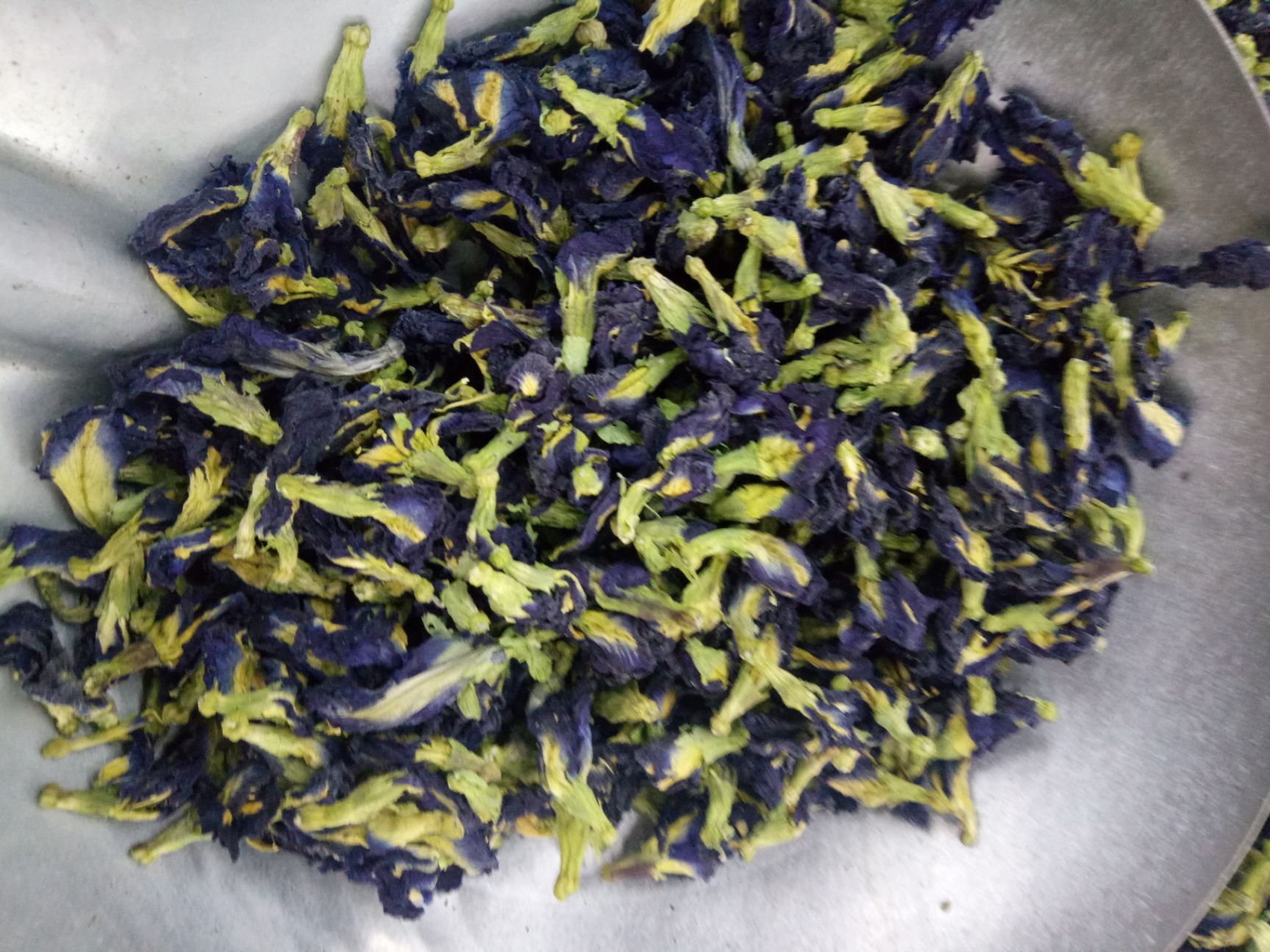 蓝蝴蝶花茶 袋装 特级