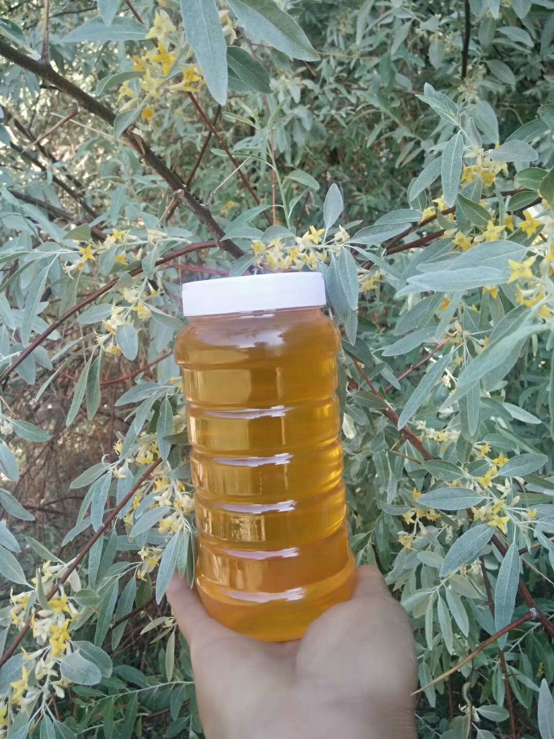 蜂巢蜜 塑料瓶装 100% 2年