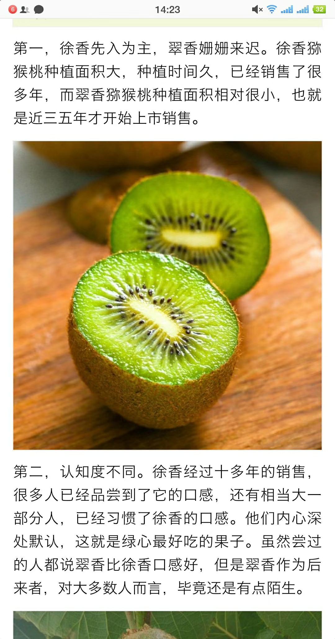 翠香猕猴桃 60~100克
