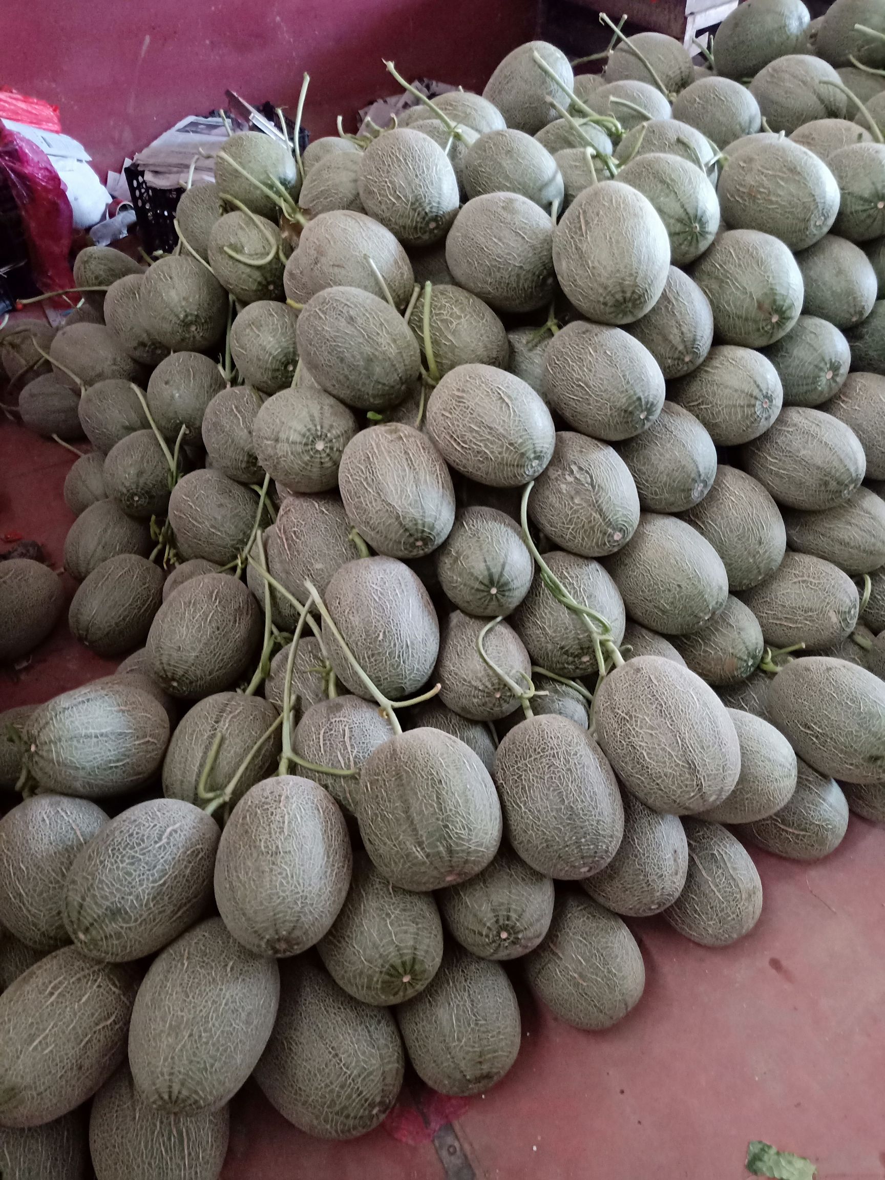 3斤以上长圆形西州蜜