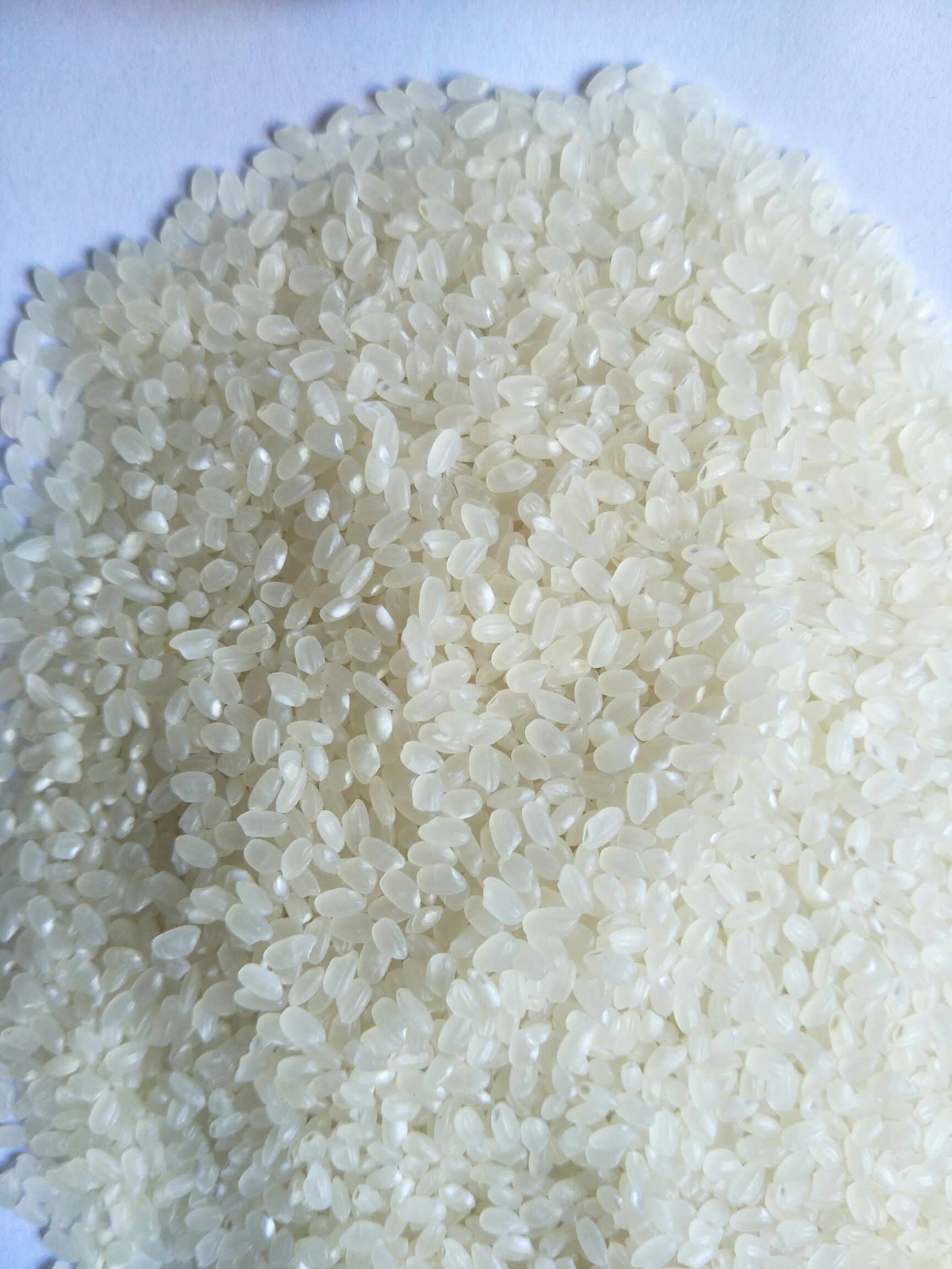 圆粒大米 非有机大米 晚稻 一等品