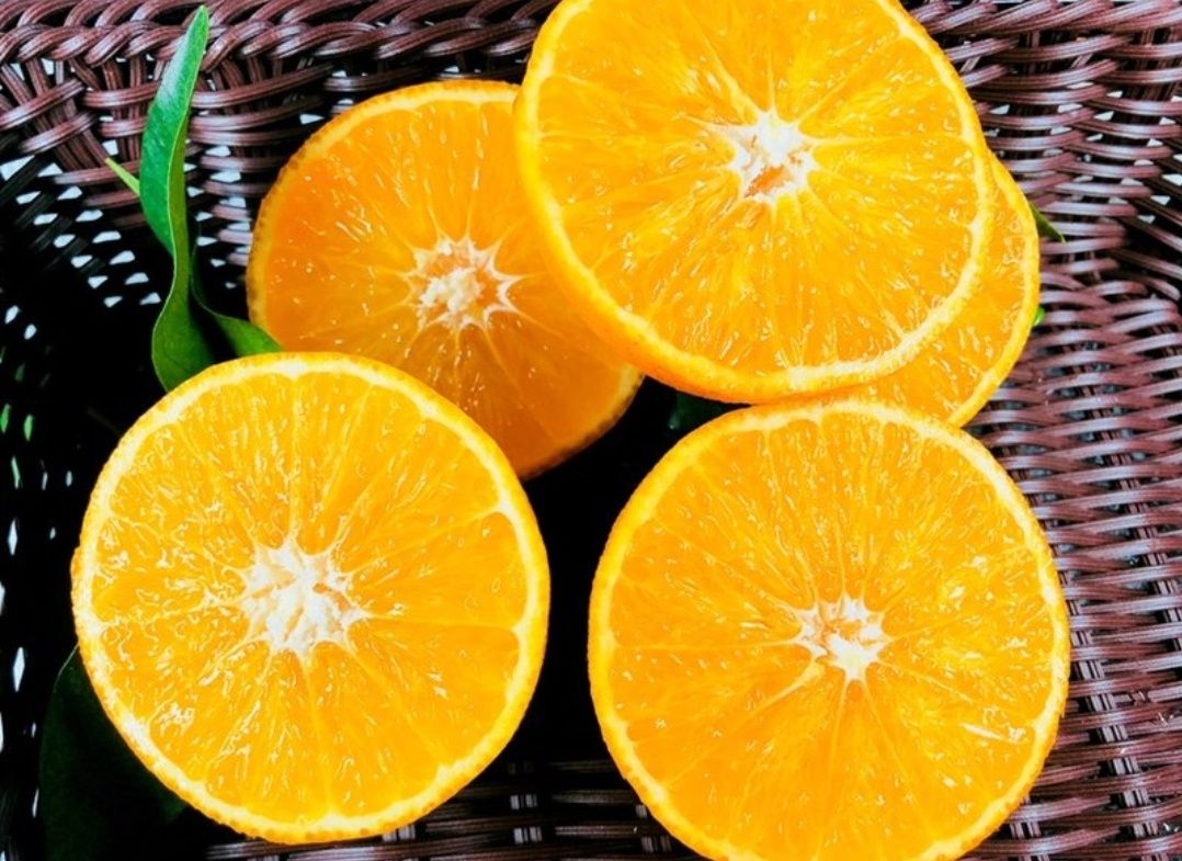 酸甜爱媛38号柑桔