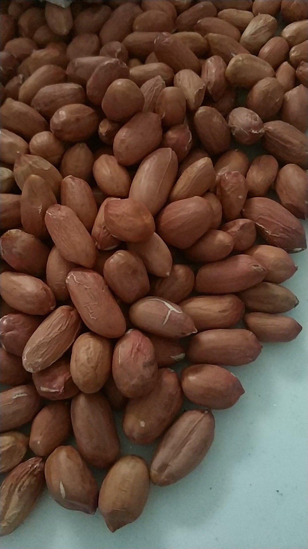 品种名:花育系列花生          纯手剥米.可做种子.