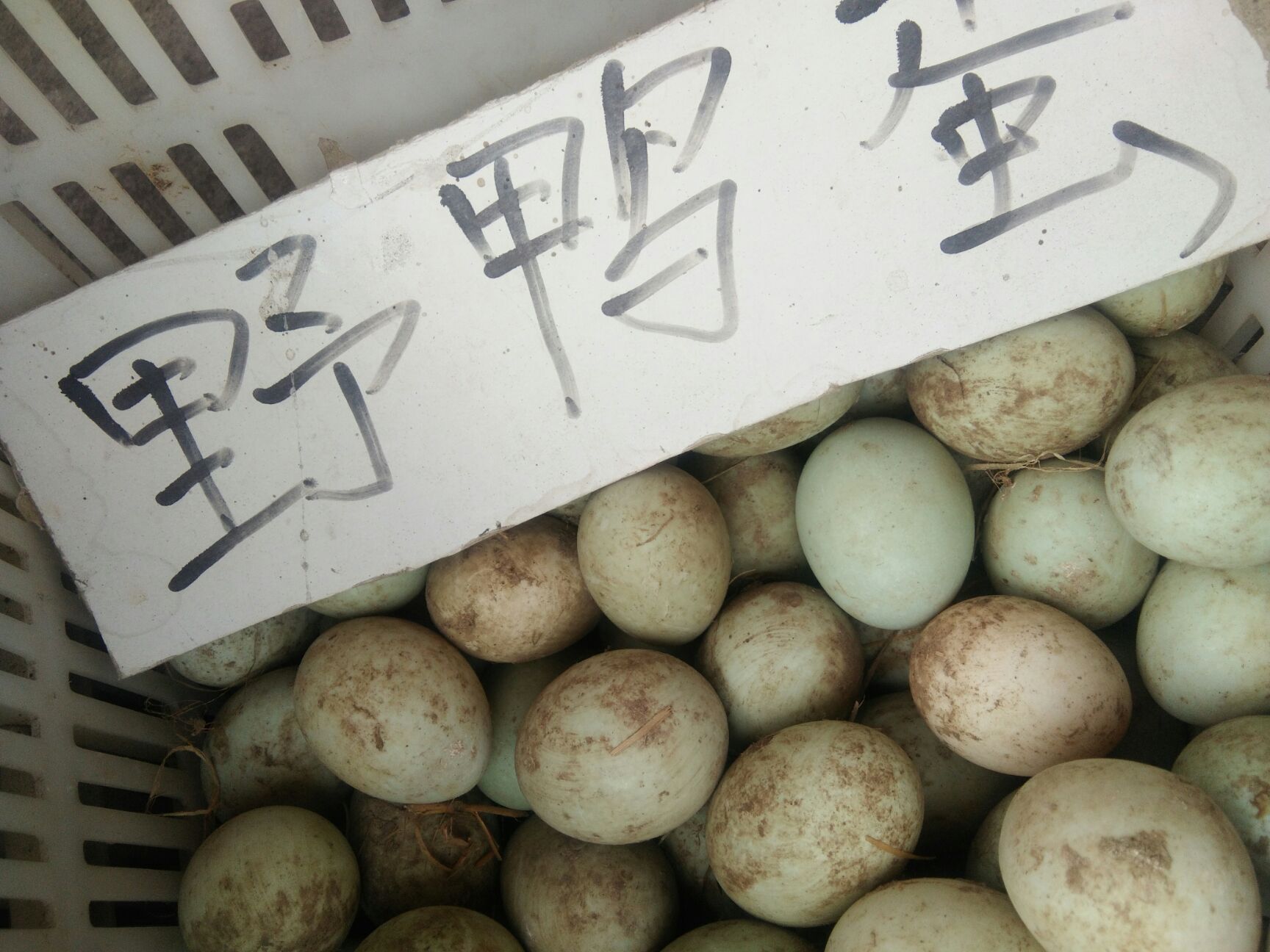 供应大厅  禽畜肉蛋  鸭蛋
