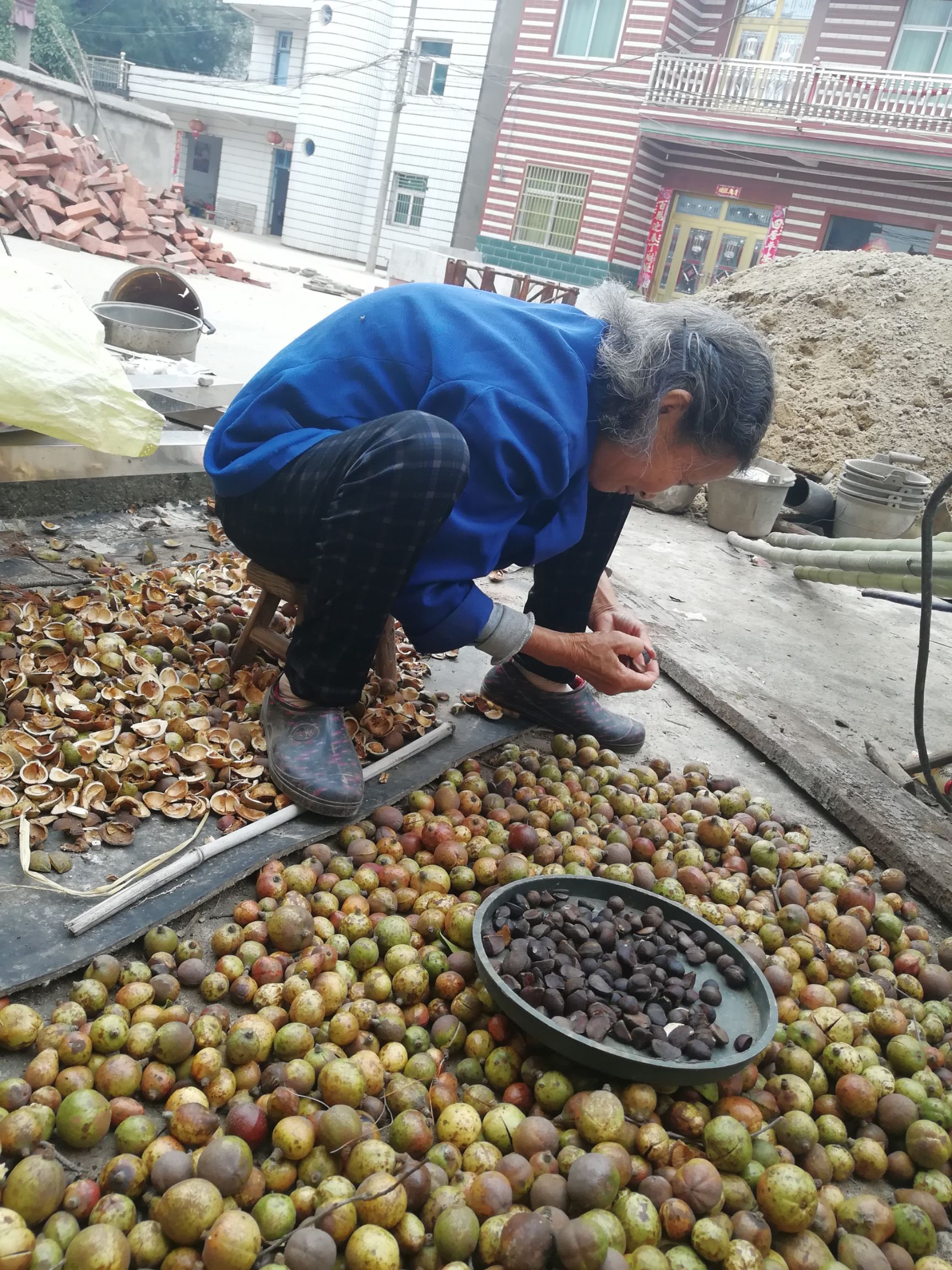 山茶油现榨山茶油生老树茶籽油木子油