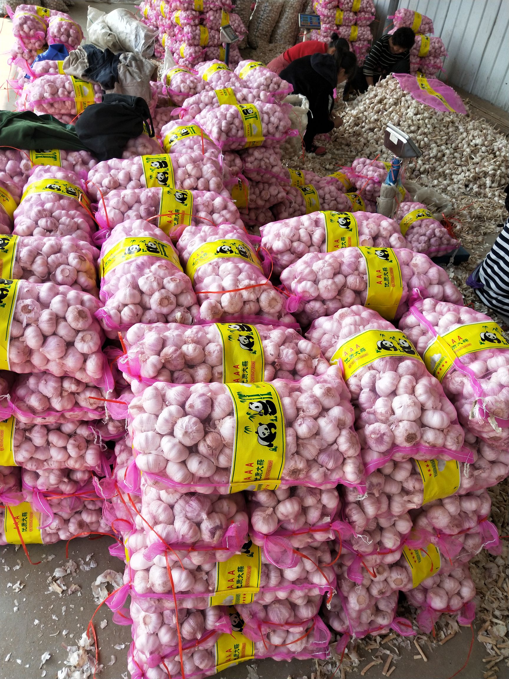 [红皮大蒜批发]红皮大蒜 混级统货 多瓣蒜价格3.8元/斤 惠农网