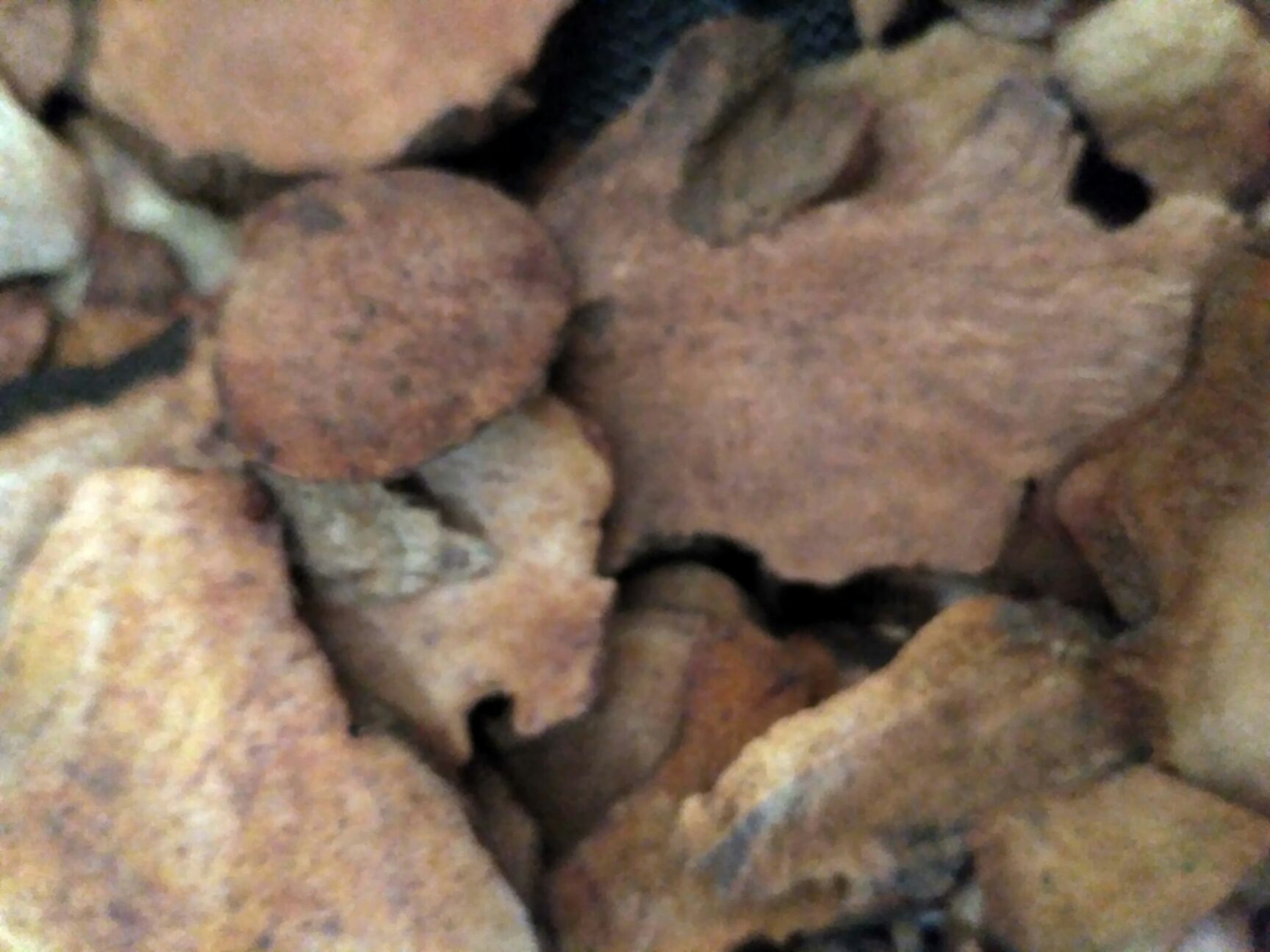 中药土茯苓