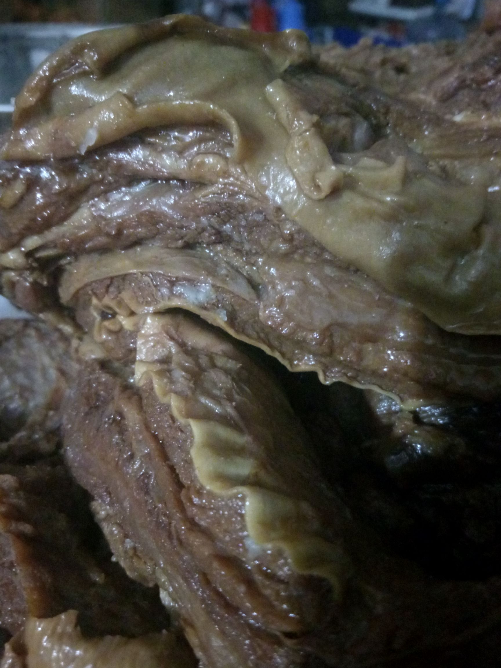 牛腩 熟肉