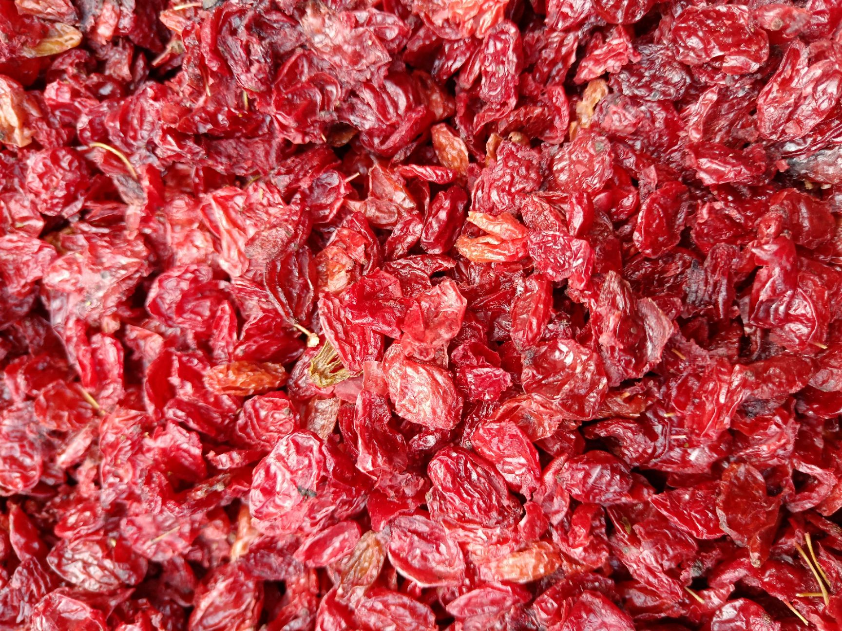 中药材山茱萸