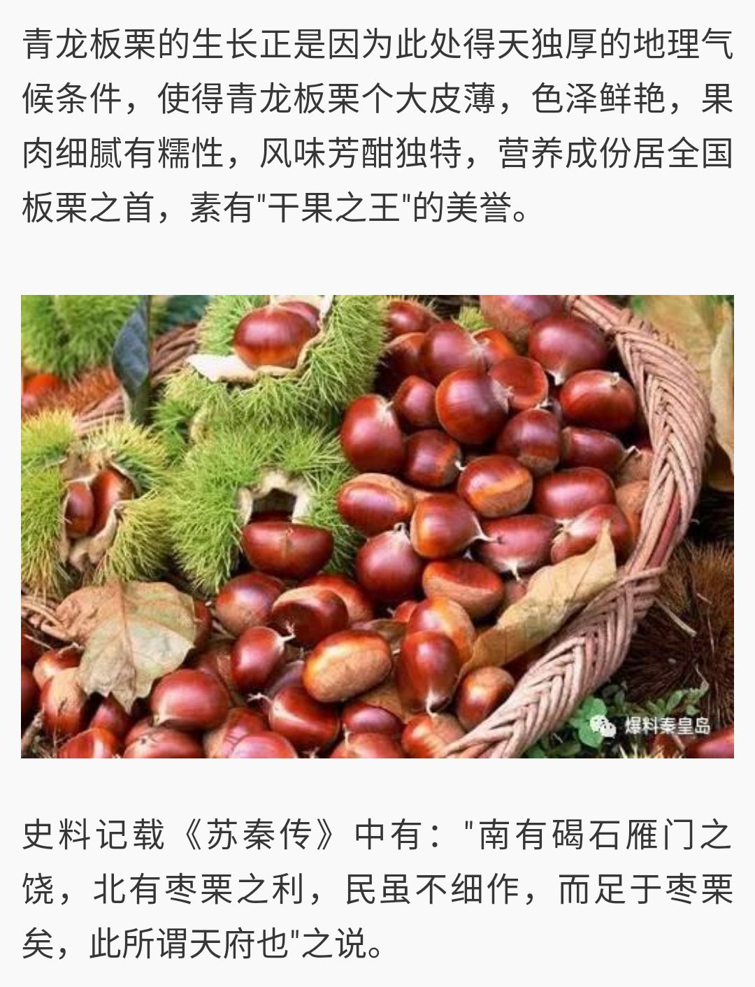 青龙板栗 一级 特选