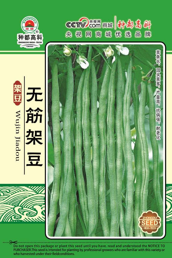 四季豆种子,首选种都高科!