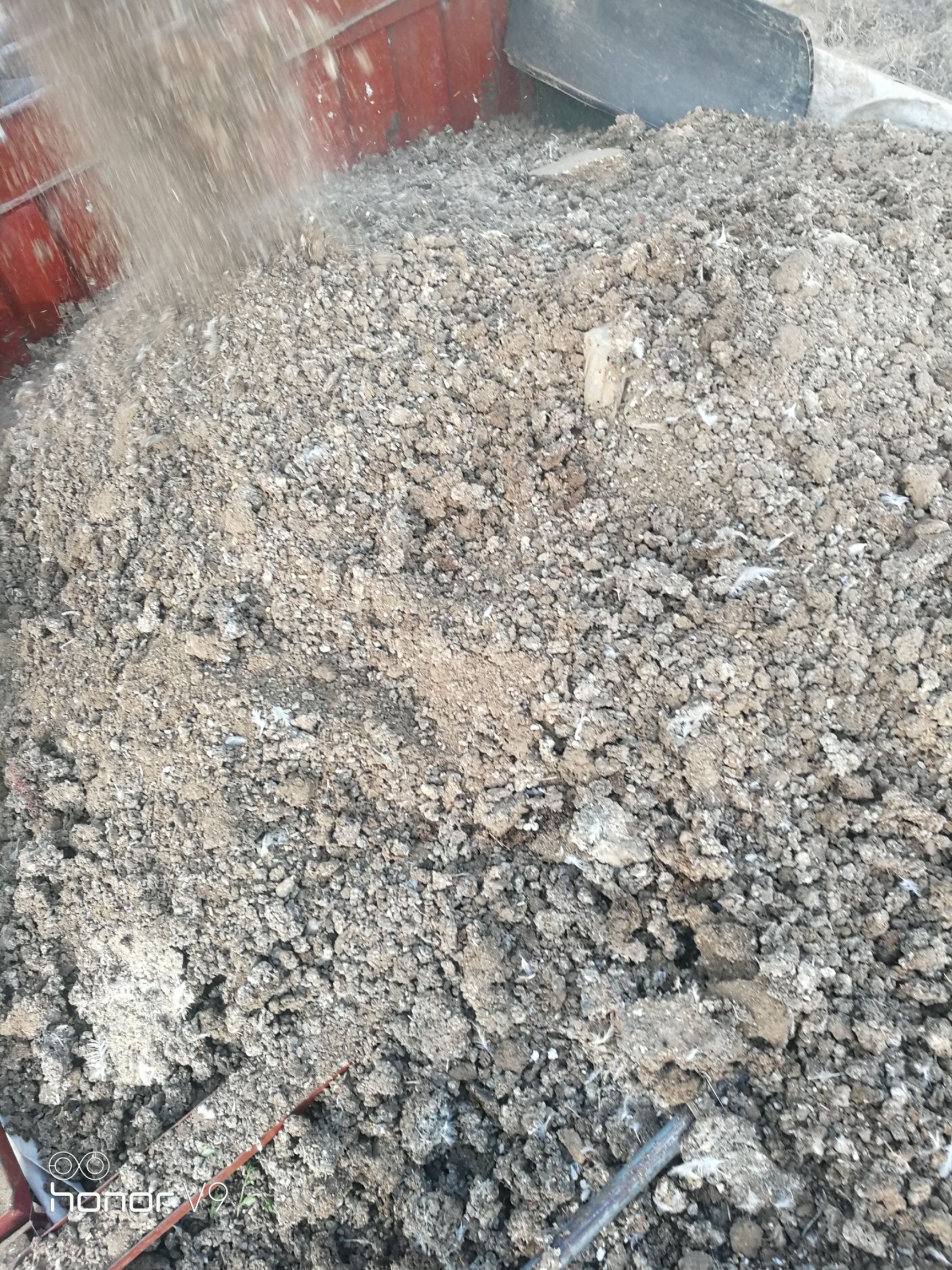 鸡粪