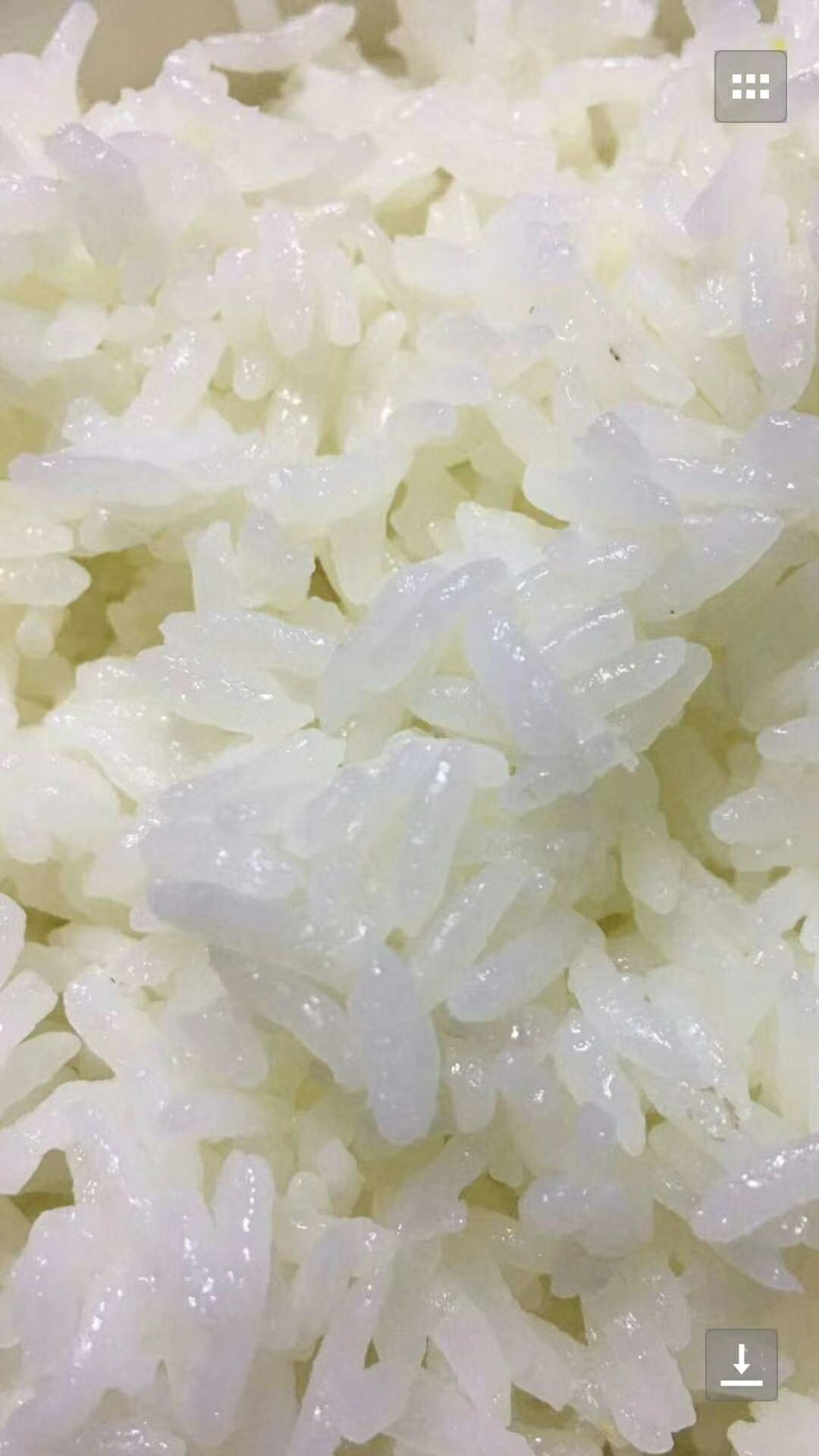 长粒香大米 一季稻 粳米 一等品