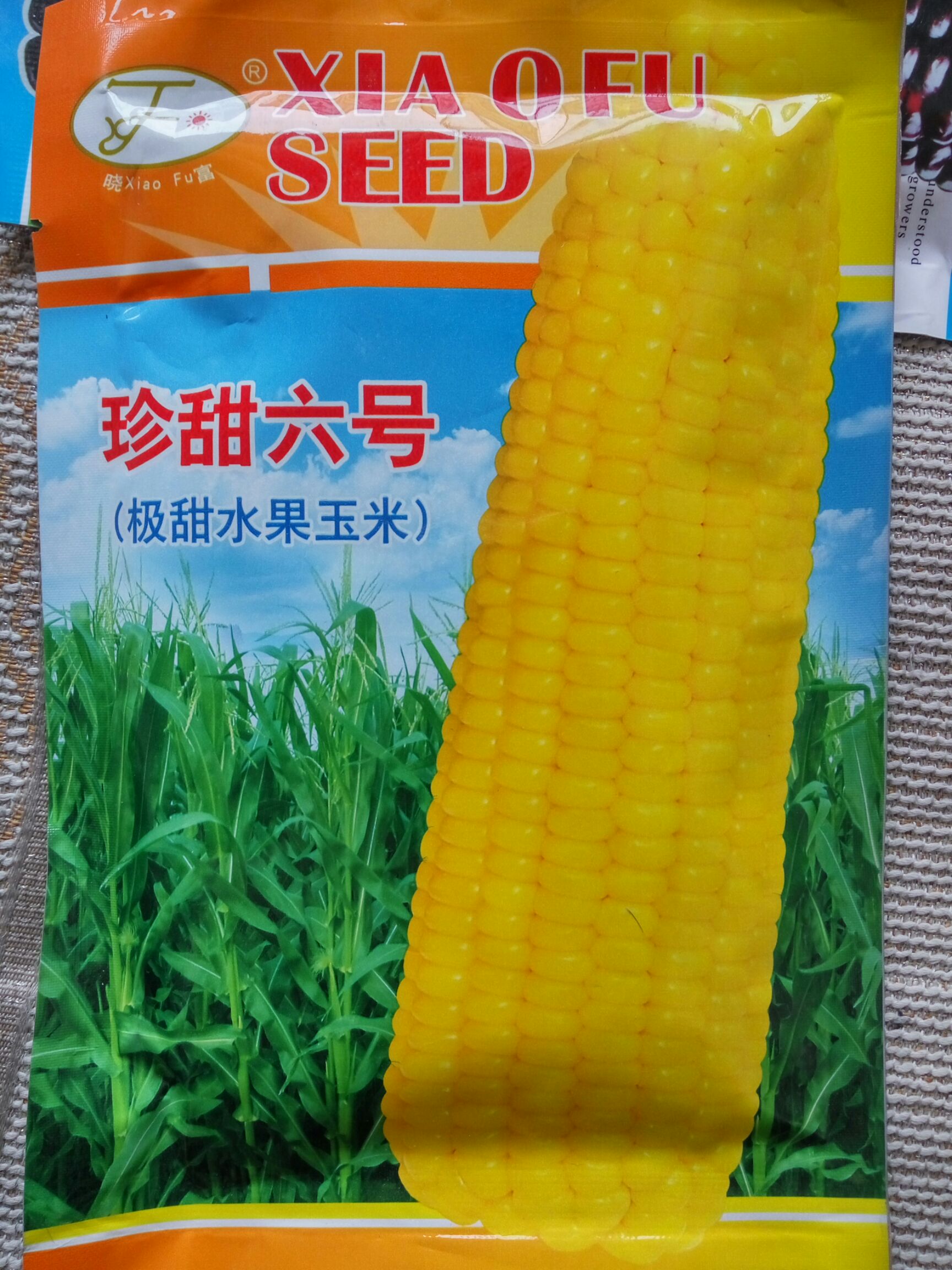 水果玉米种子 三交种≥90%