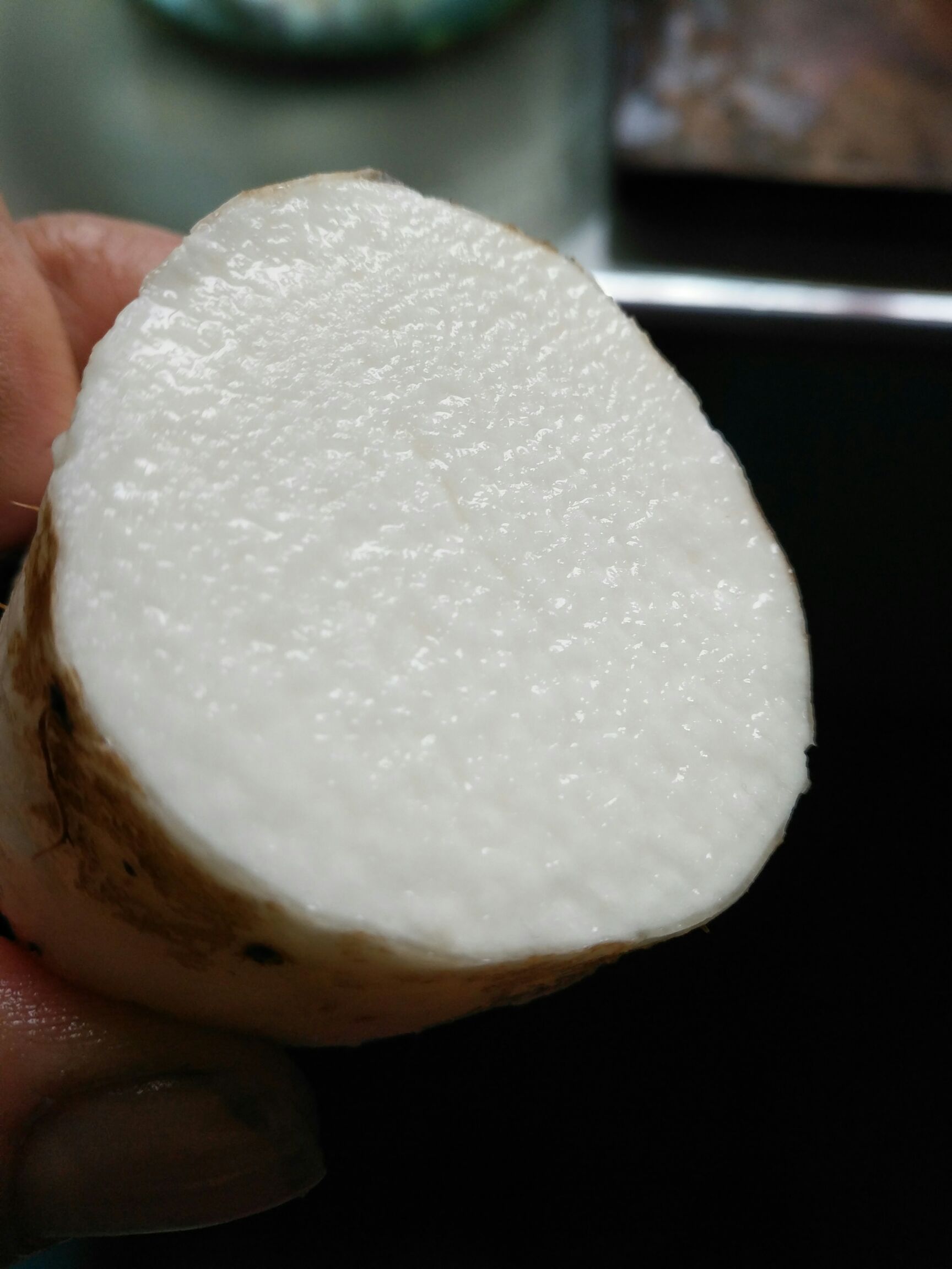 糯米山药 50~70cm