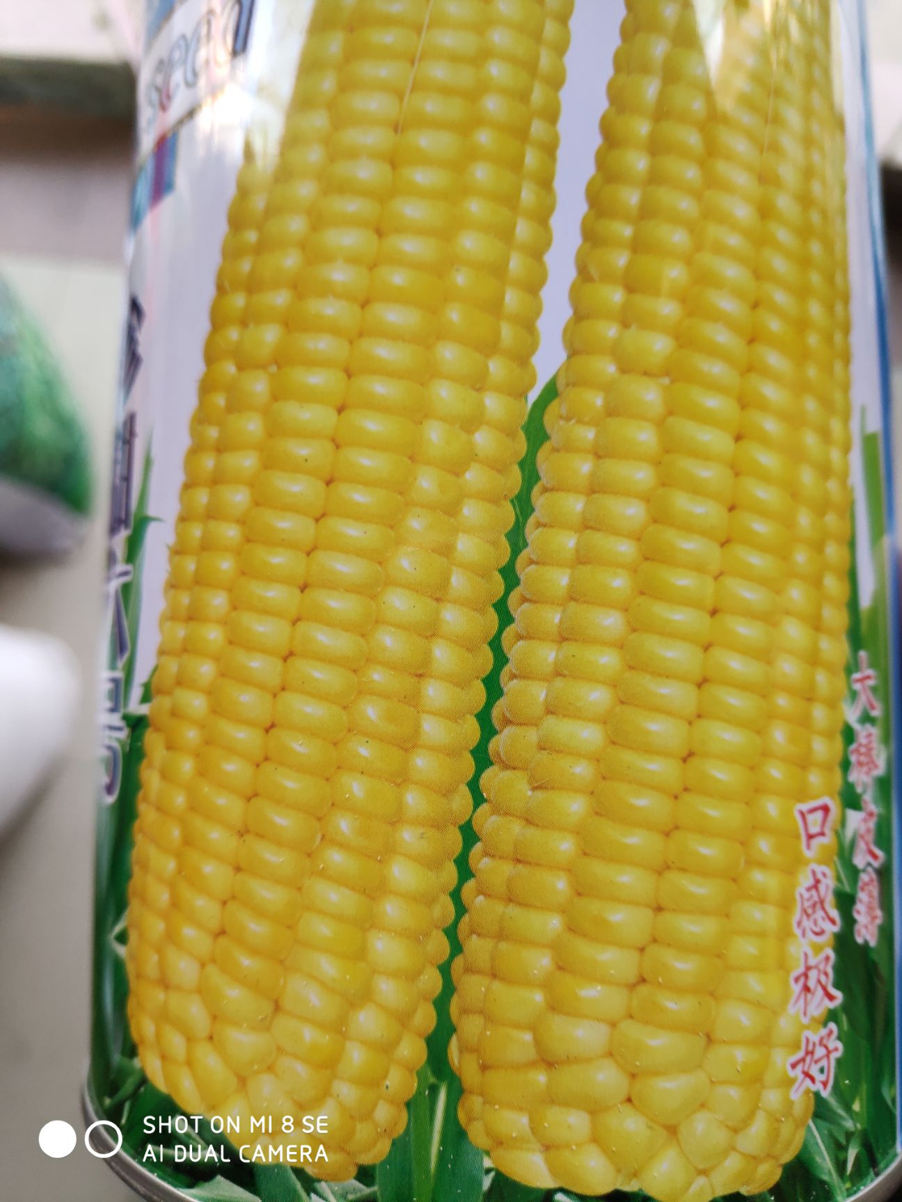 水果玉米种子 珍甜六号水果玉米种粒色金黄少秃顶品质优良可溶性含糖
