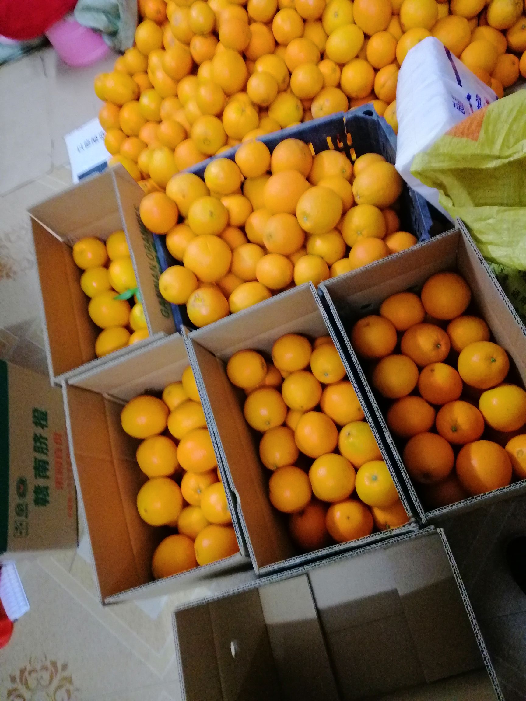 正宗赣南脐橙精品果天然水果不泡药不催熟不打蜡九省包邮一件代发