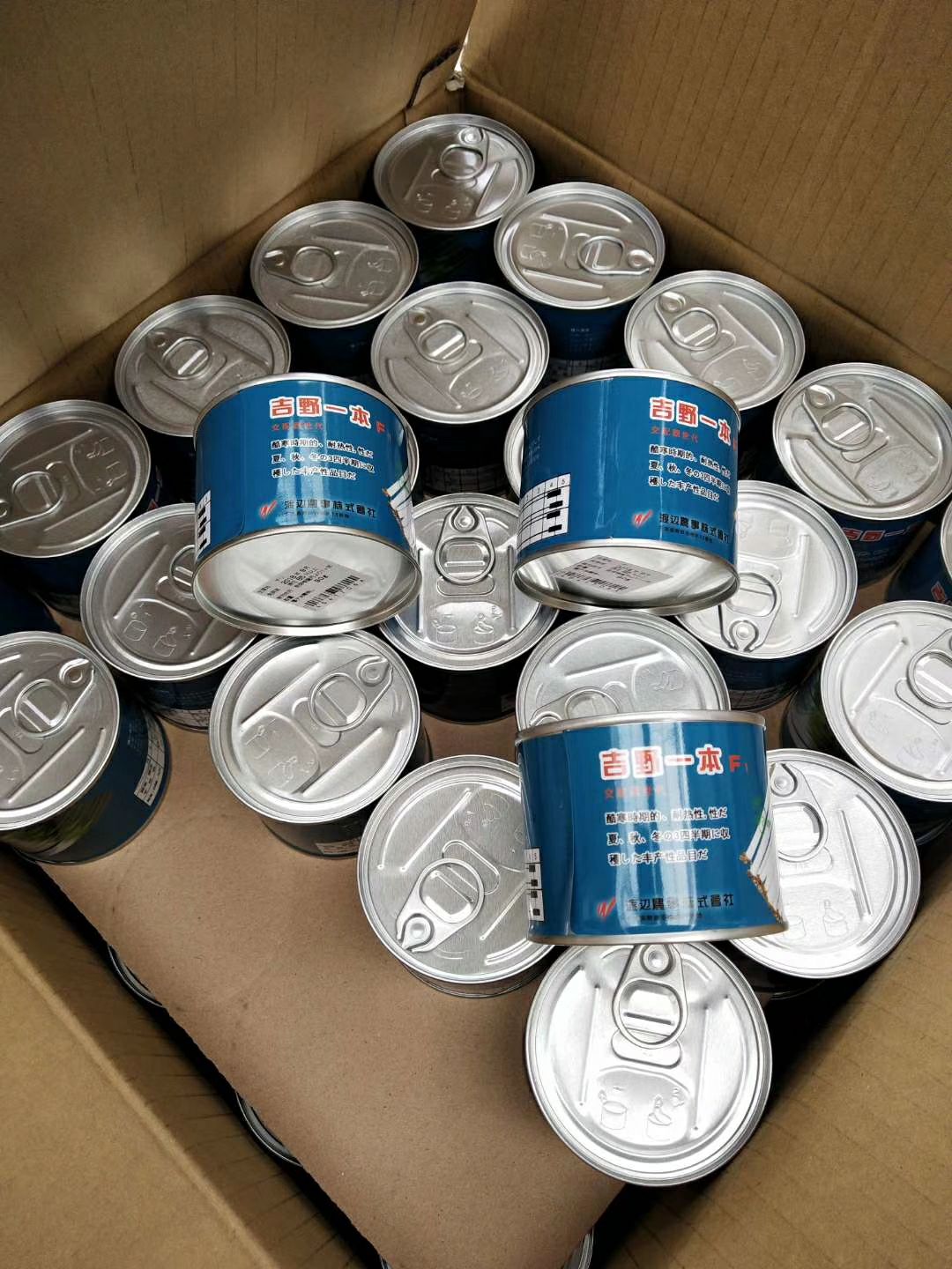 山东省青岛市胶州市日本钢葱种子 ≥90% 杂交