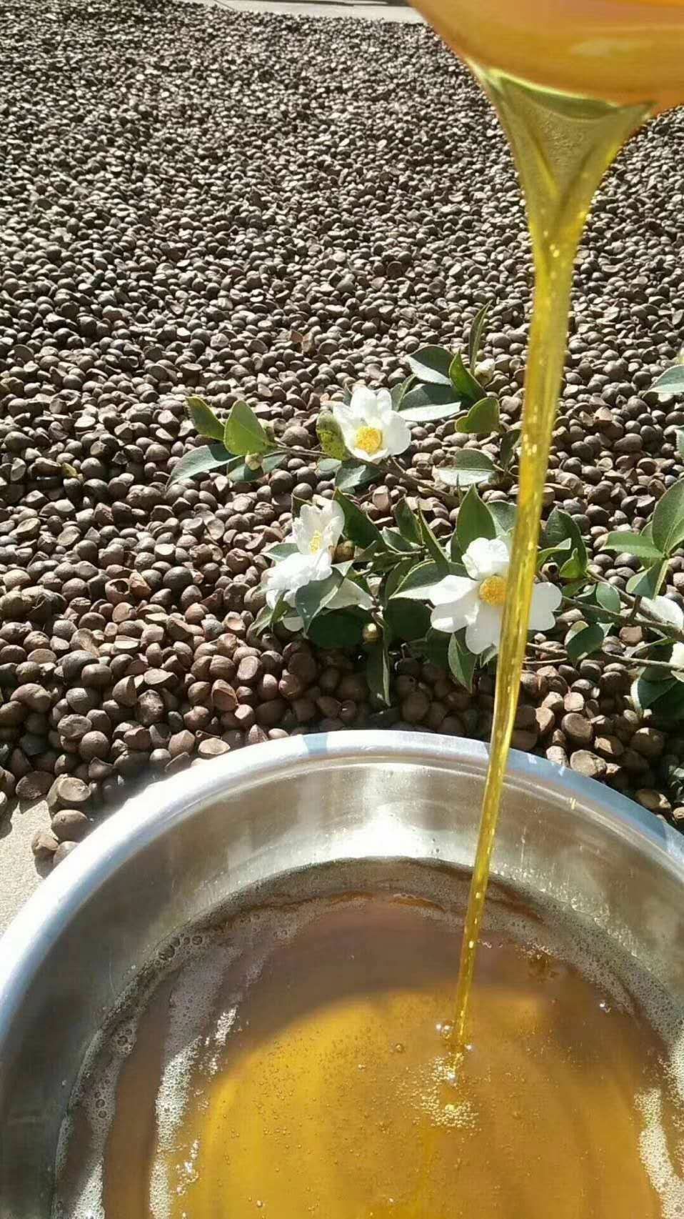 *生山茶油