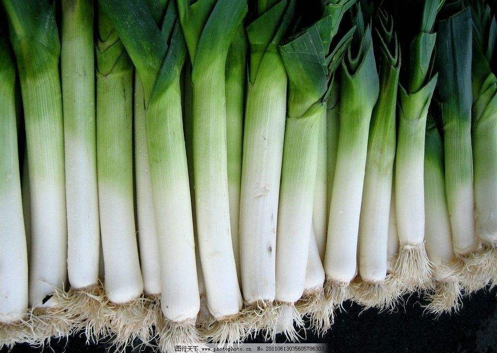 鸡腿大葱 30~50cm 毛葱