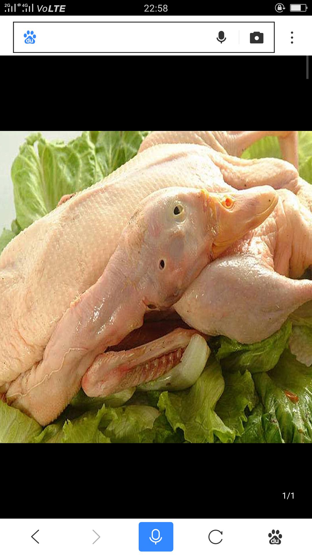品种名:鹅肉类          一年以上的老鹅    需要提前订货   都是现杀