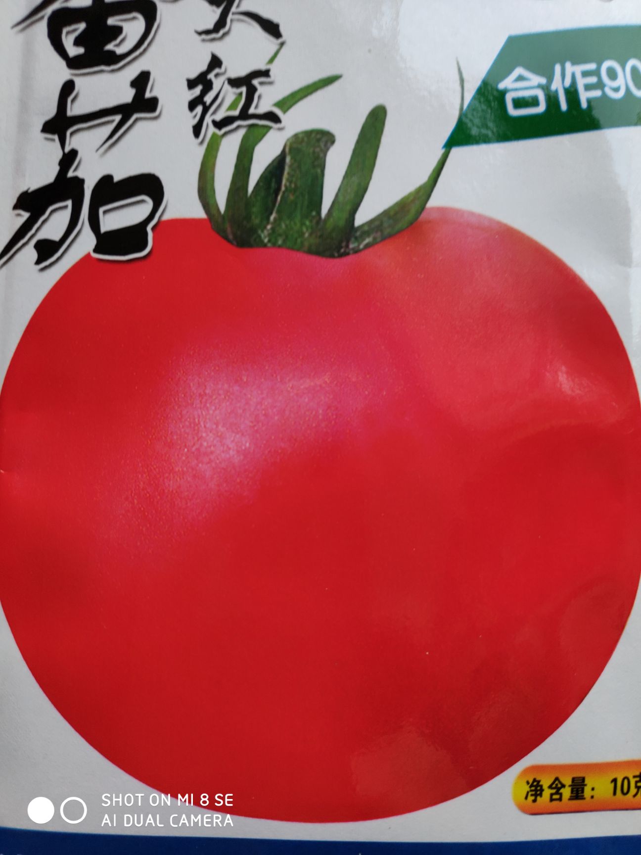 合作903红果番茄 ≥96% 杂交种 ≥85%