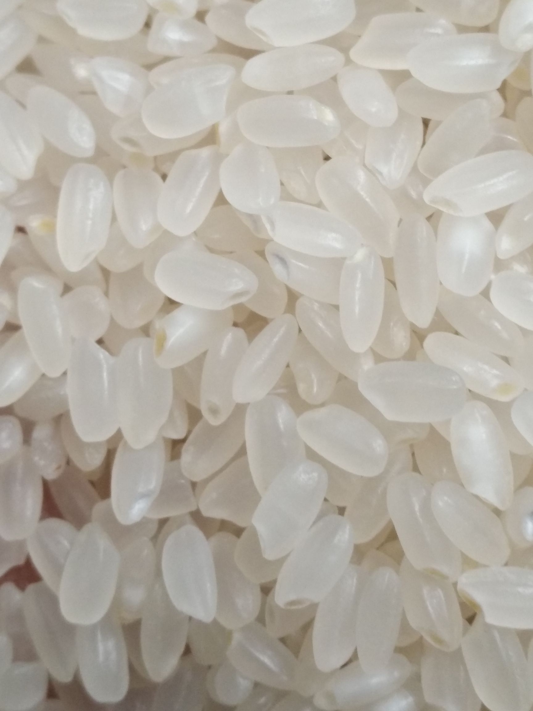 东北大米 晚稻 粳米 一等品