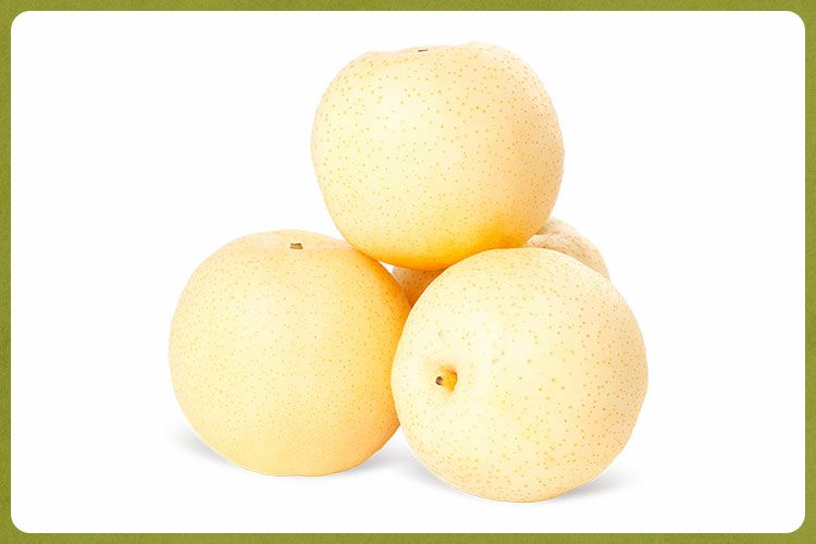 350-400g伏梨批发采购_350-400g伏梨供应_3