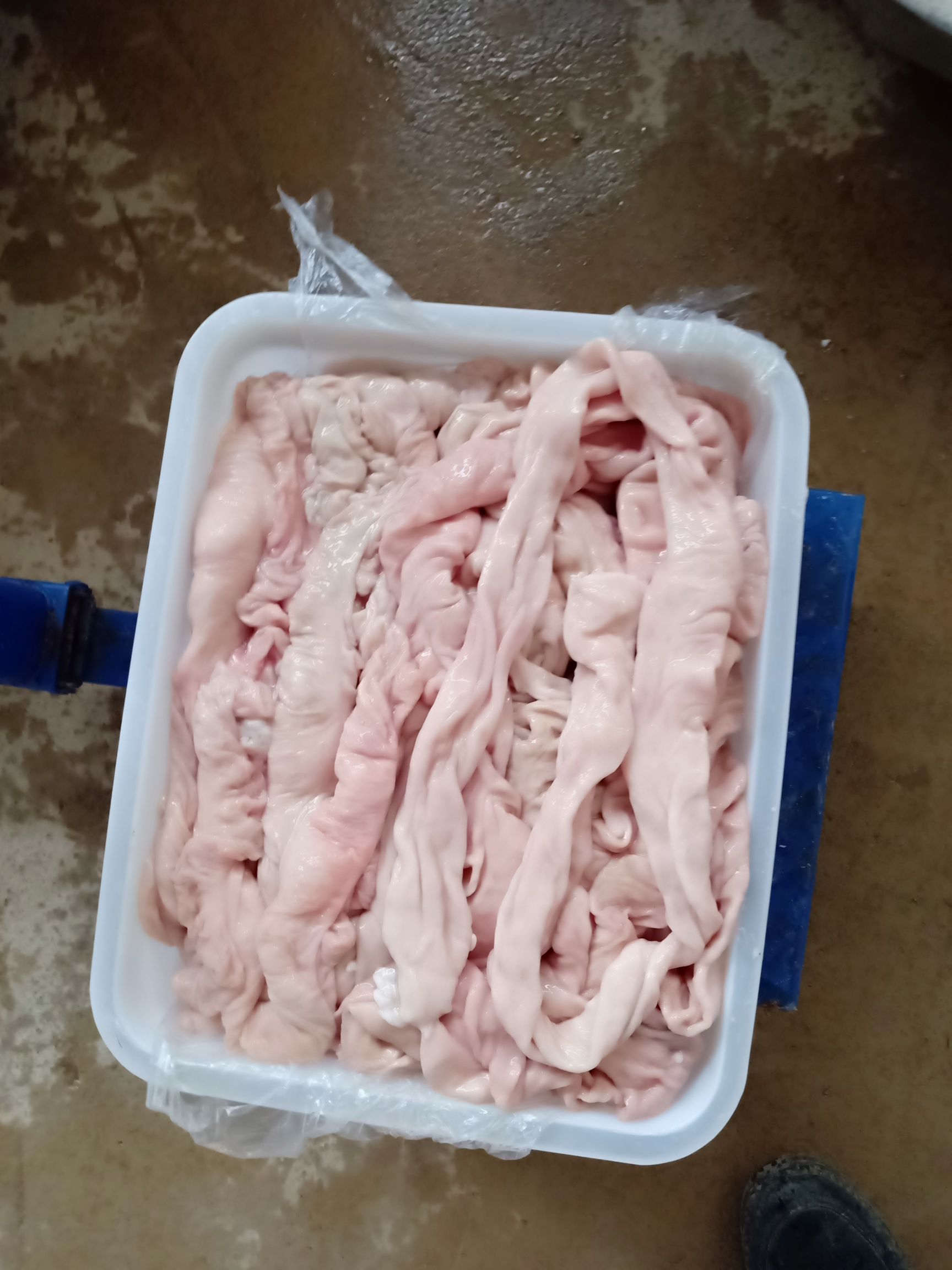 冻猪大肠头10kg/件