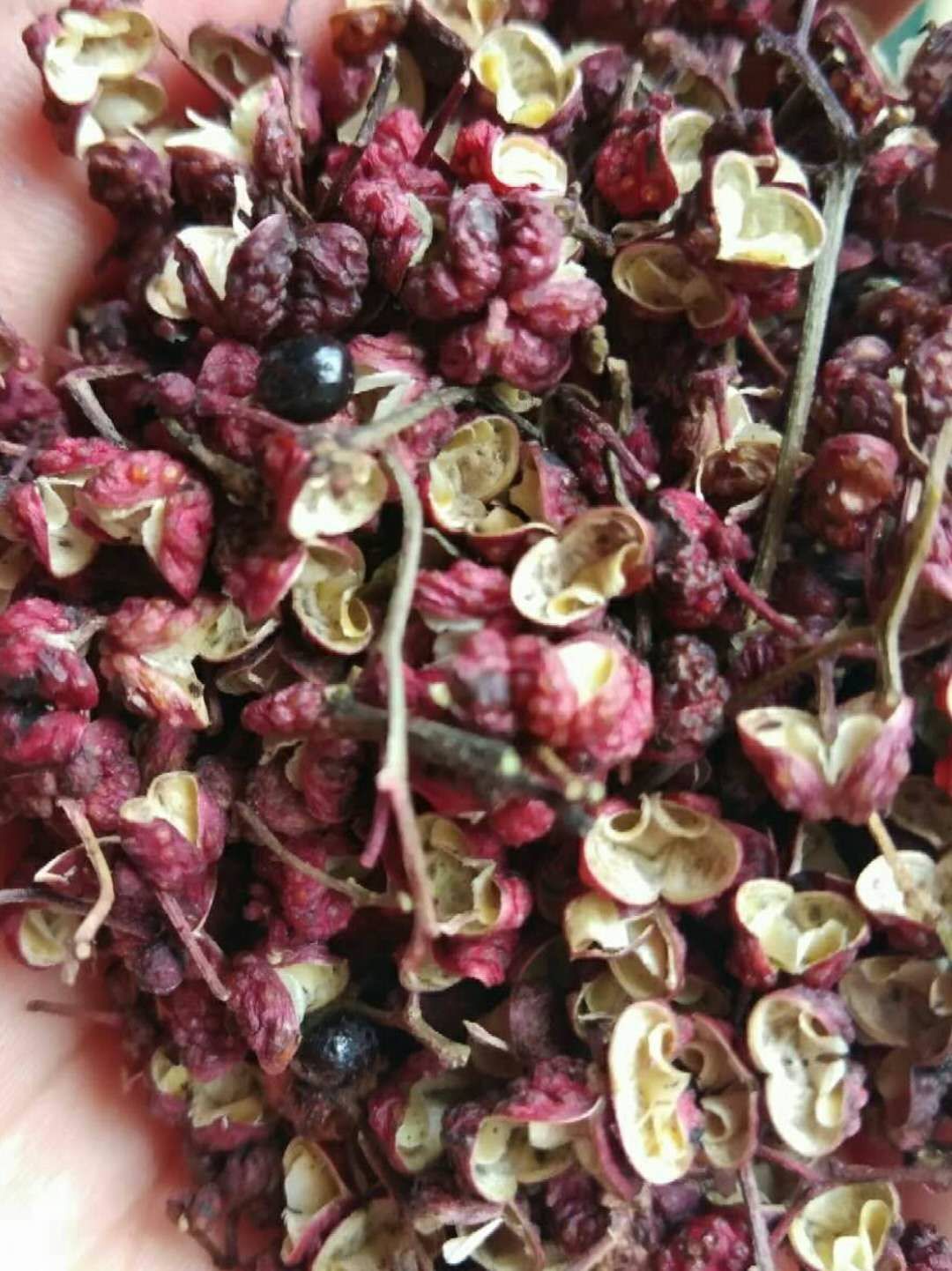 凤椒 一级 干花椒
