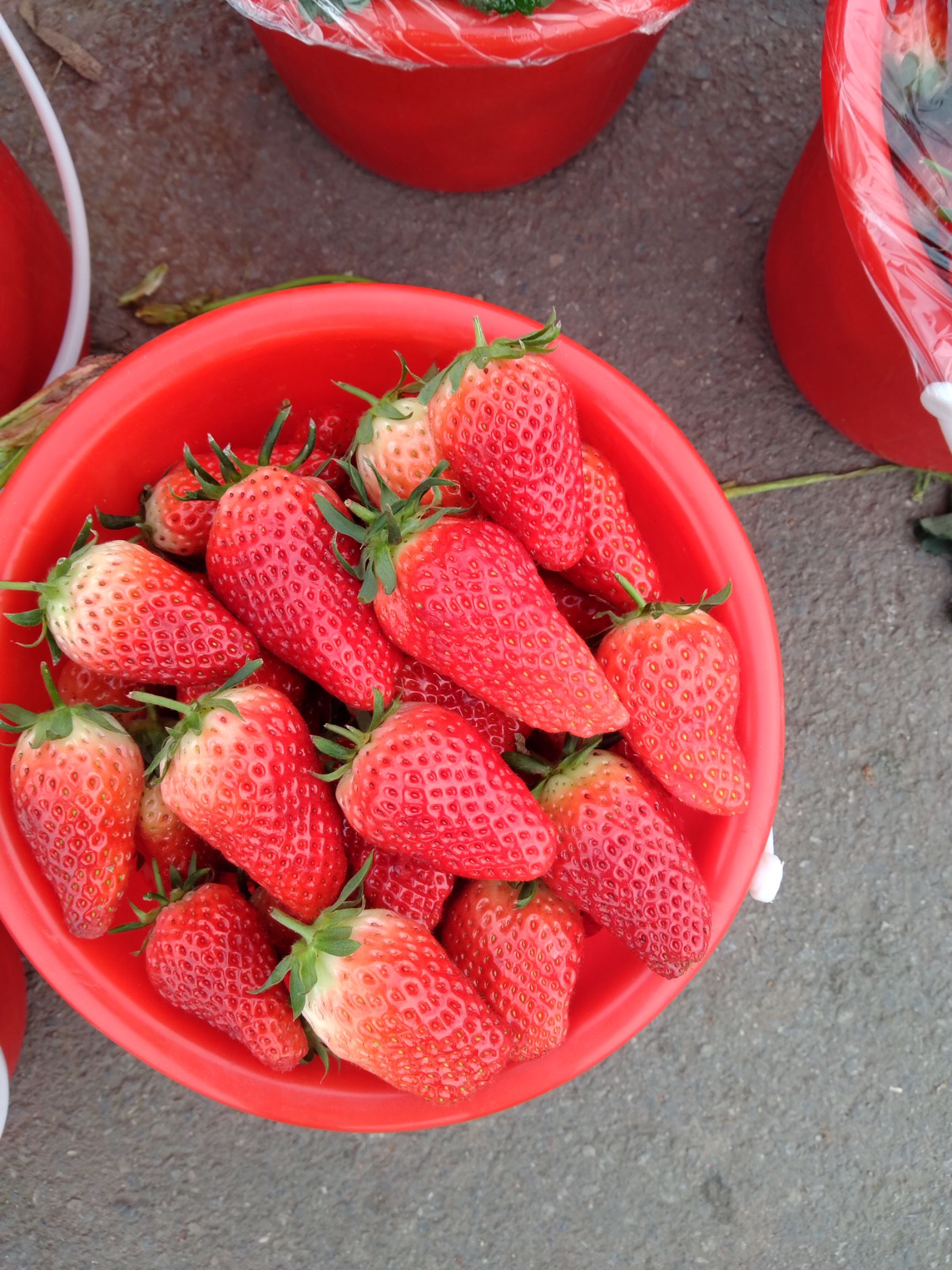 山东潍坊安丘市 安丘奶莓草莓甜宝九九草莓 甜度高 新鲜采摘质优
