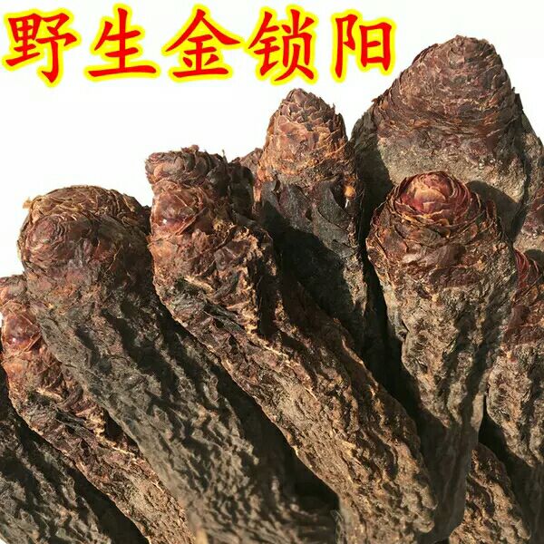 锁阳 这是西北的野生特产中药材,对男性大有滋补的