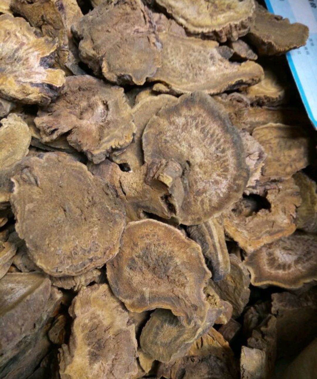 西大黄 正品甘肃 无硫