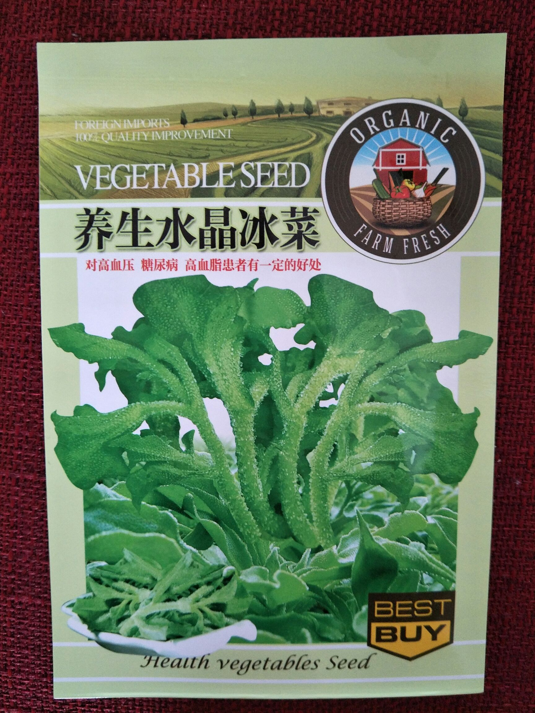 冰菜种子