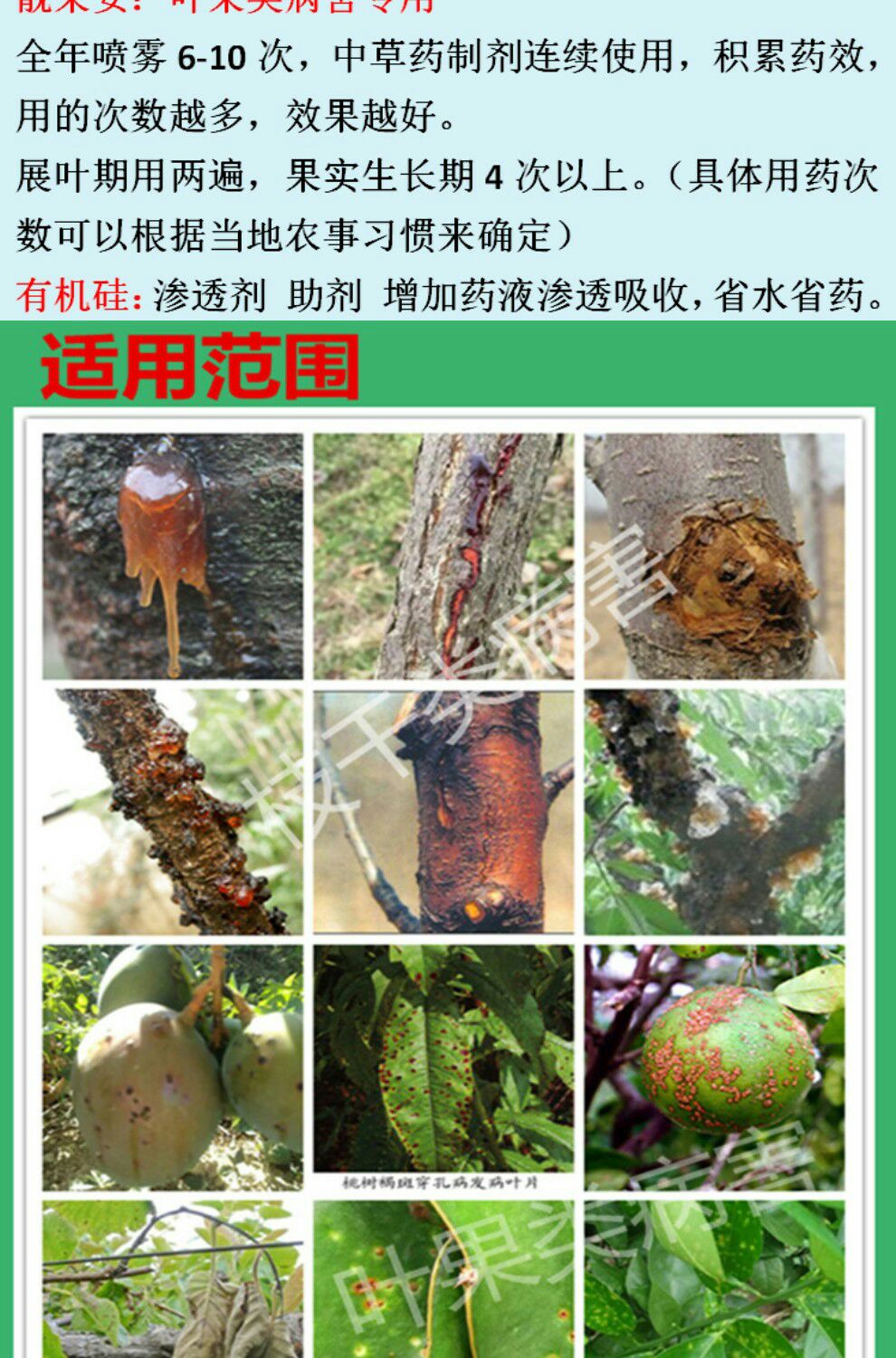 溃腐灵果树农药杀菌剂桃树樱桃流胶病苹果腐烂病柑橘猕猴桃溃疡