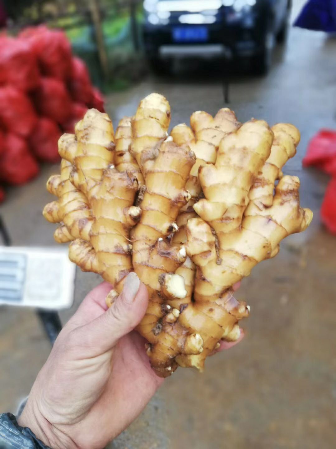 黄姜批发采购_黄姜供应_黄姜价格