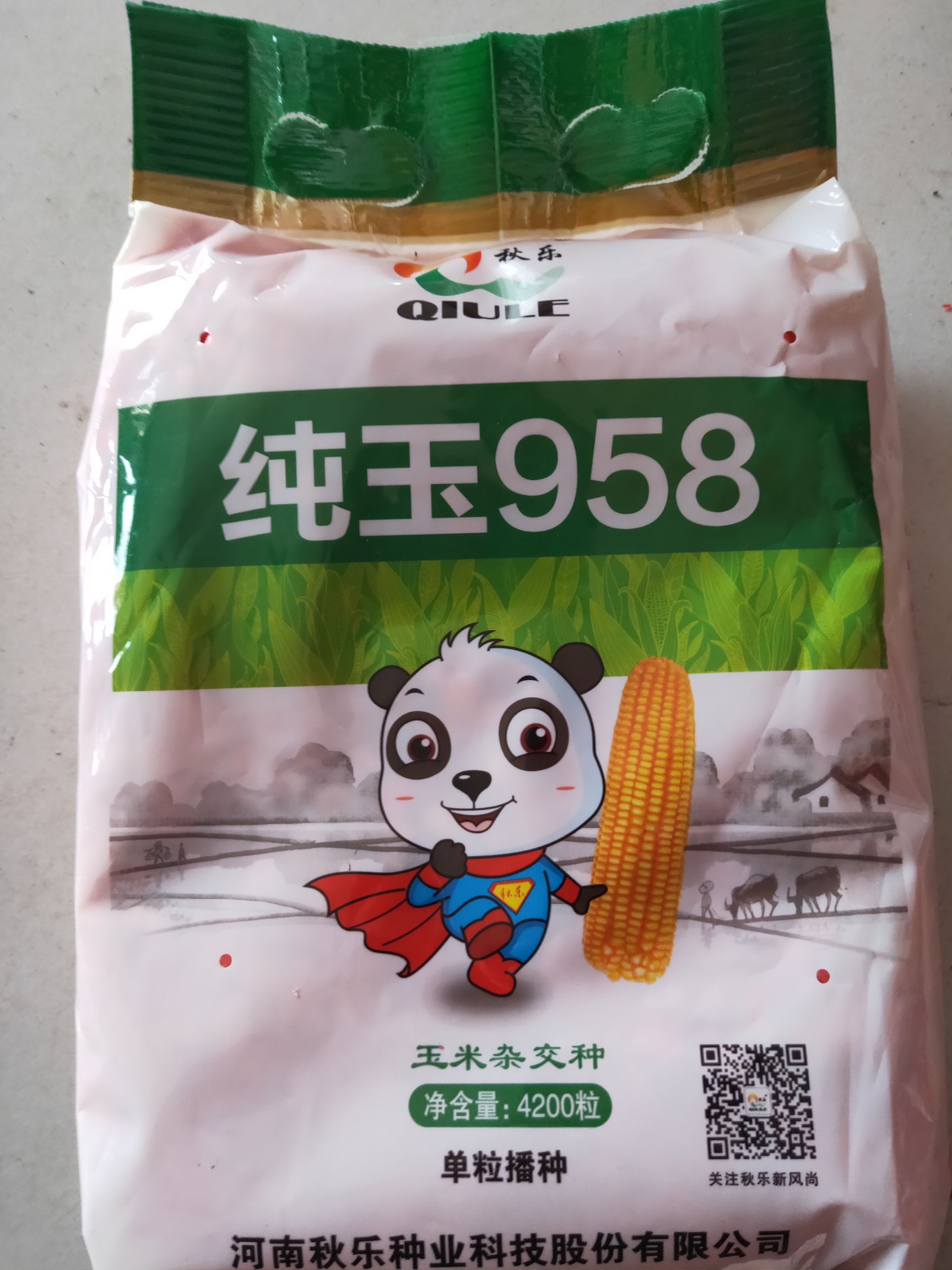 品种名:纯玉958玉米种子          秋乐种业纯玉958,需要的