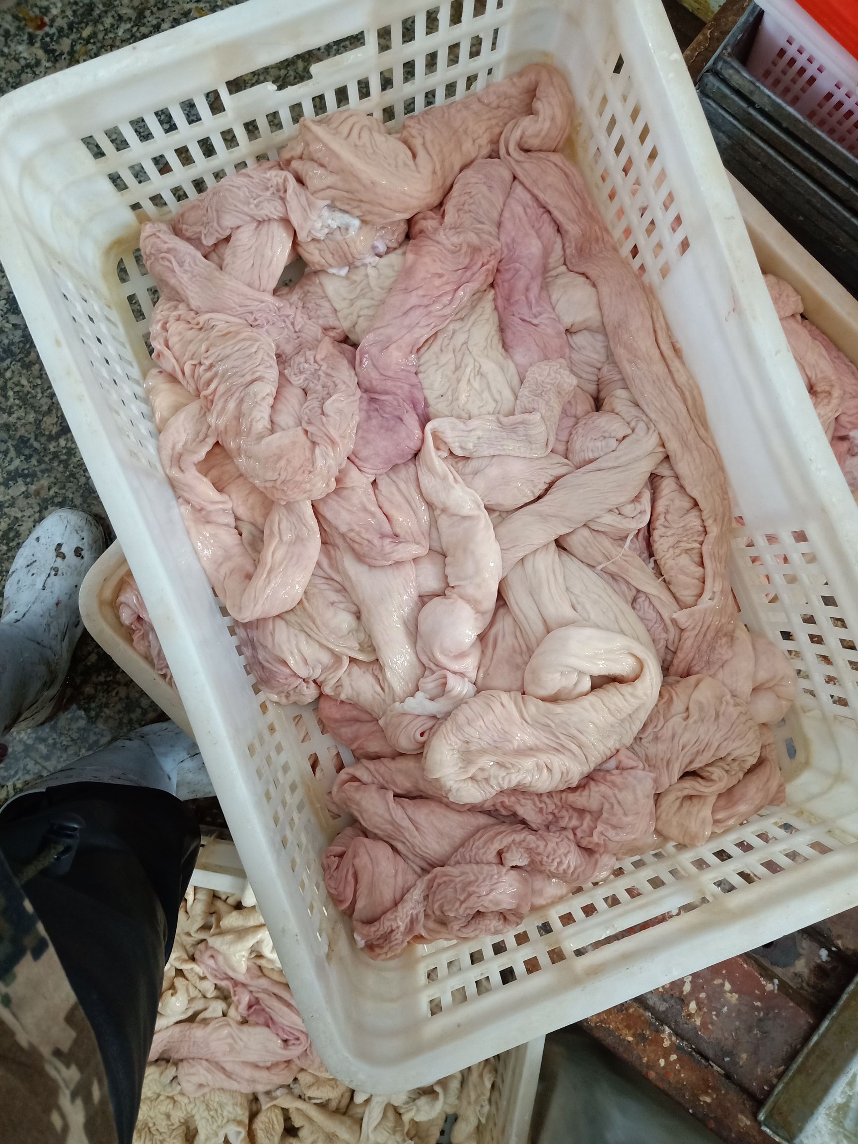 猪大肠          大肠颜色好看,干净卫生,质量好,可做冻货/鲜货/带油