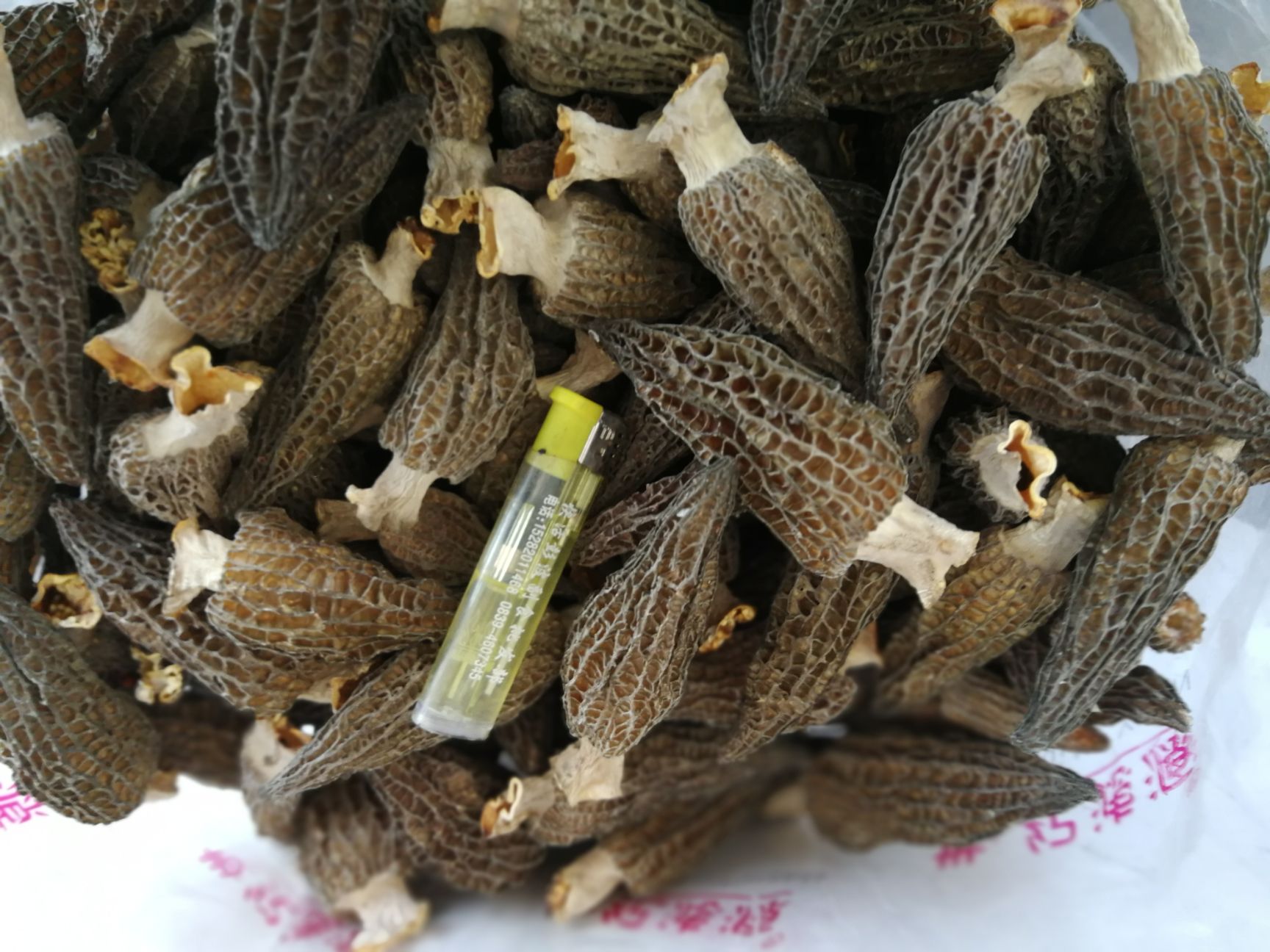 干羊肚菌 袋装 1年以上