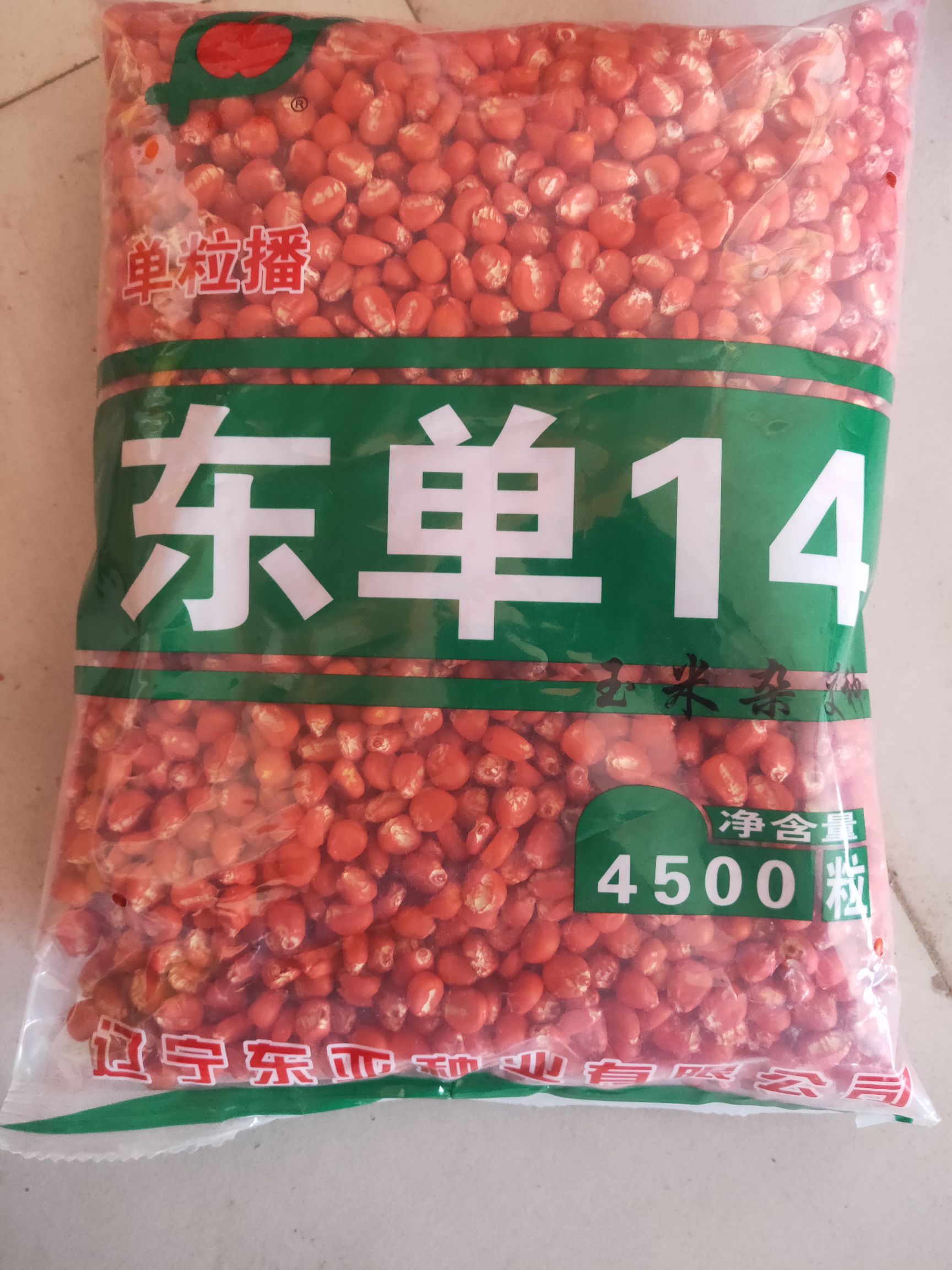 东单14玉米种 双交种 ≥90%